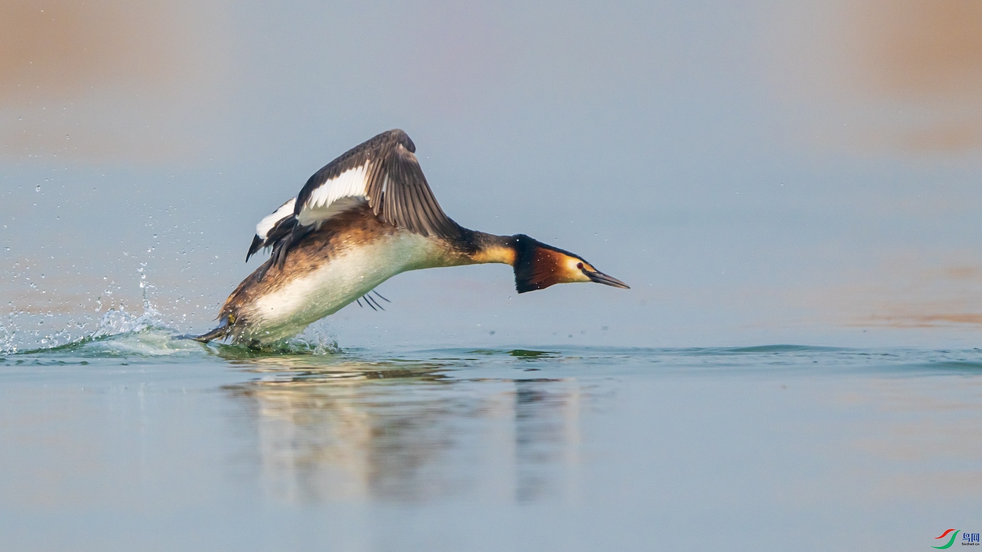 1_XXI2094 ����.jpeg