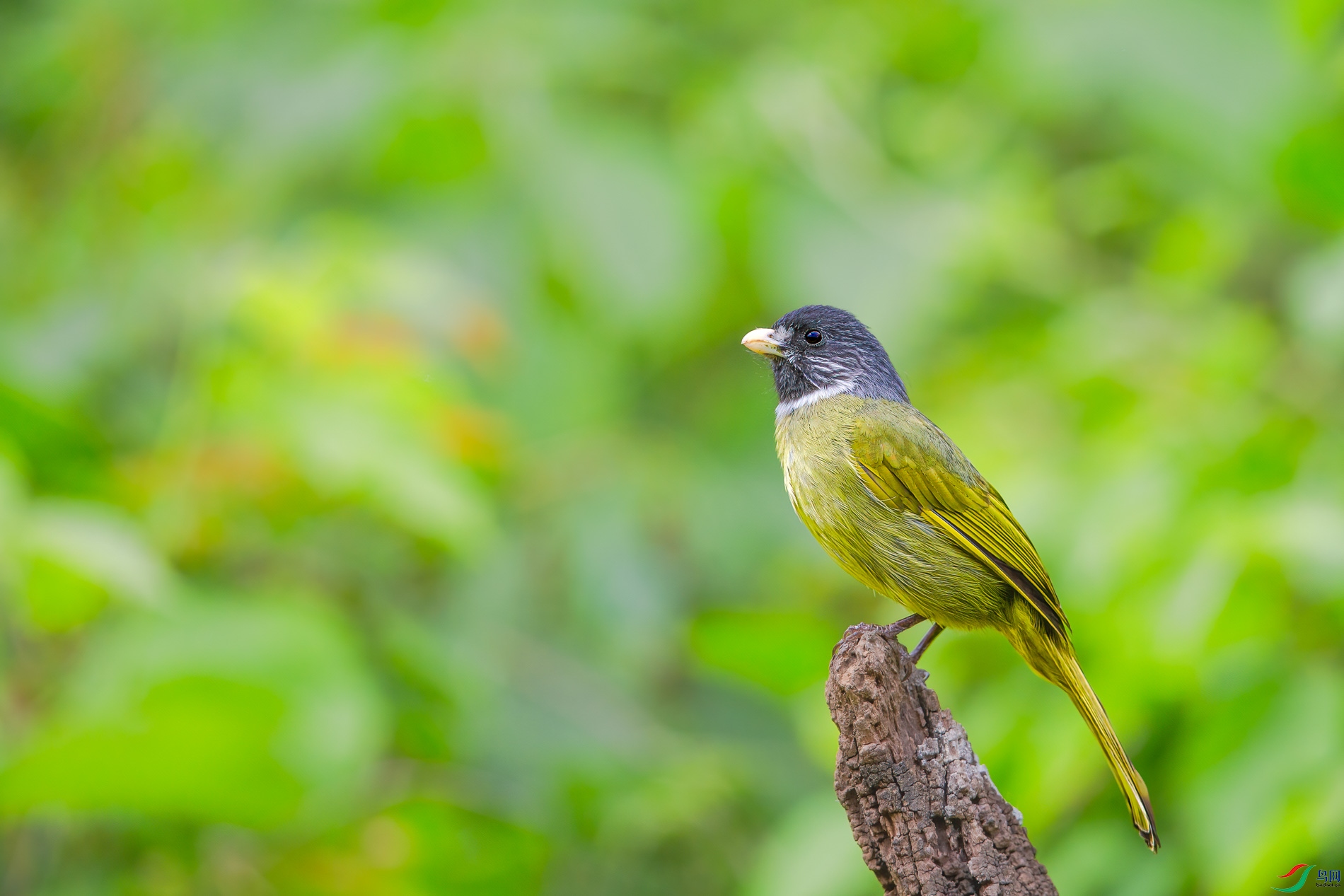 AQ4P1799-1.jpg