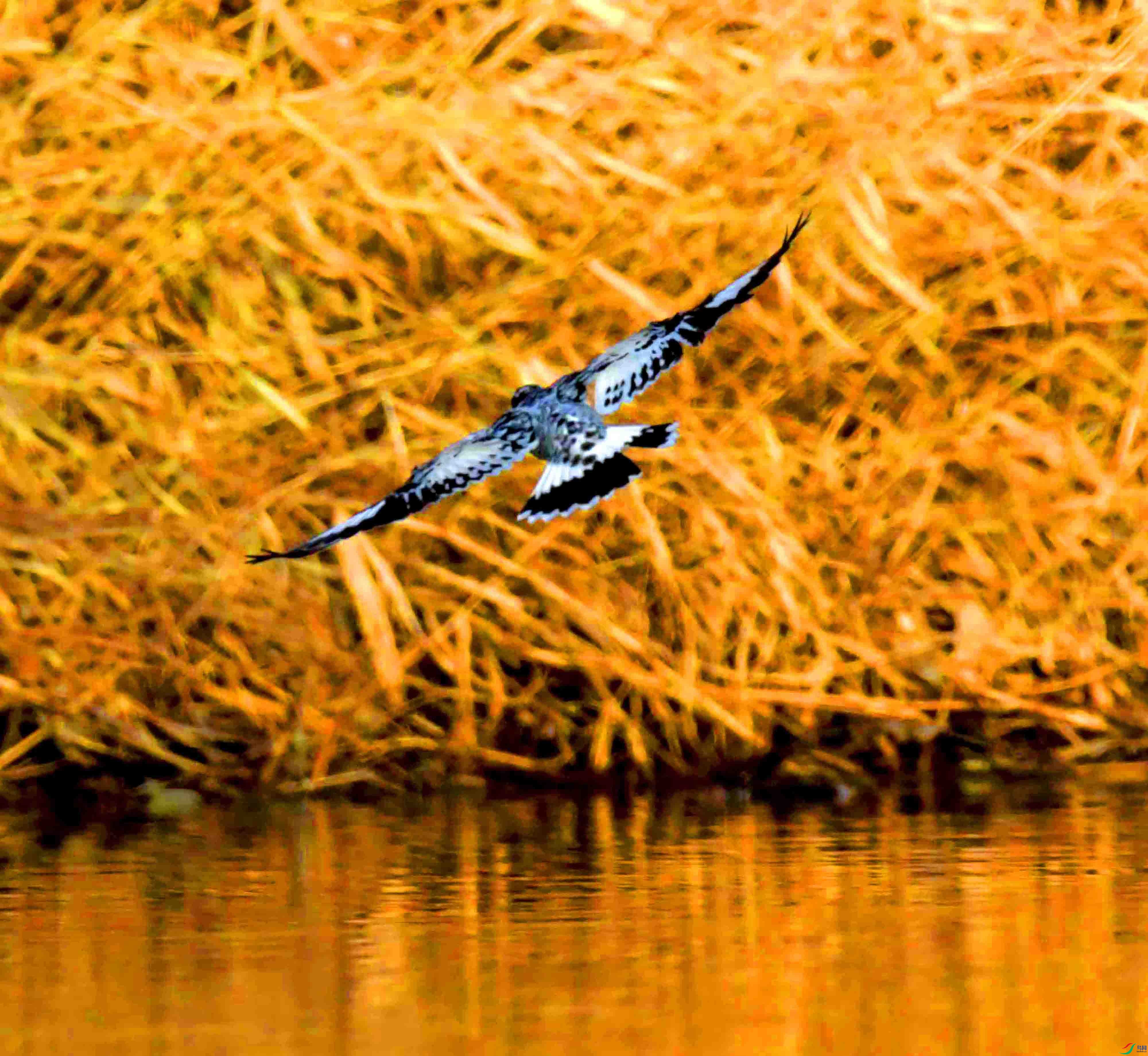 DSC_5413.JPG