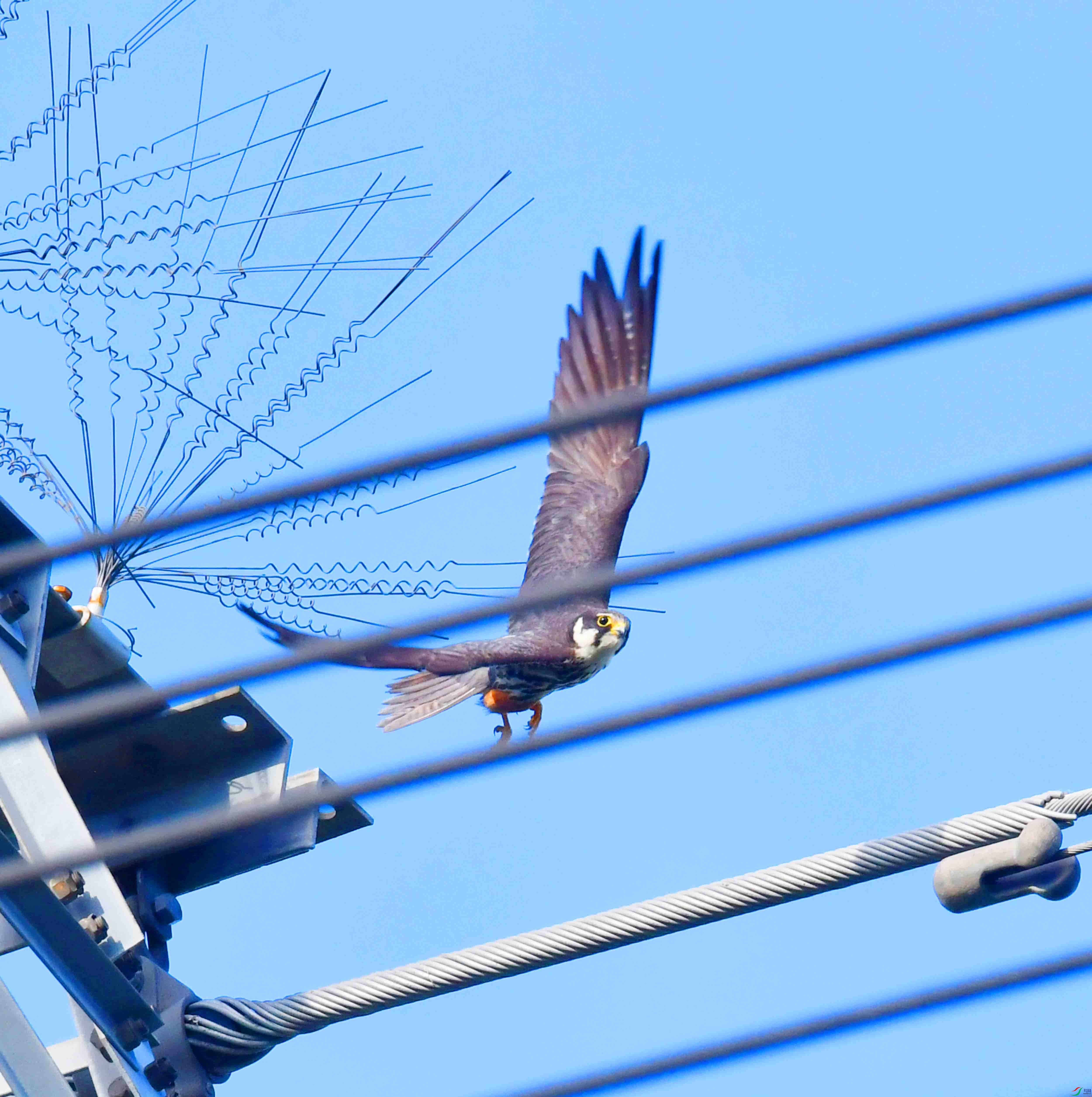 DSC_3846.JPG