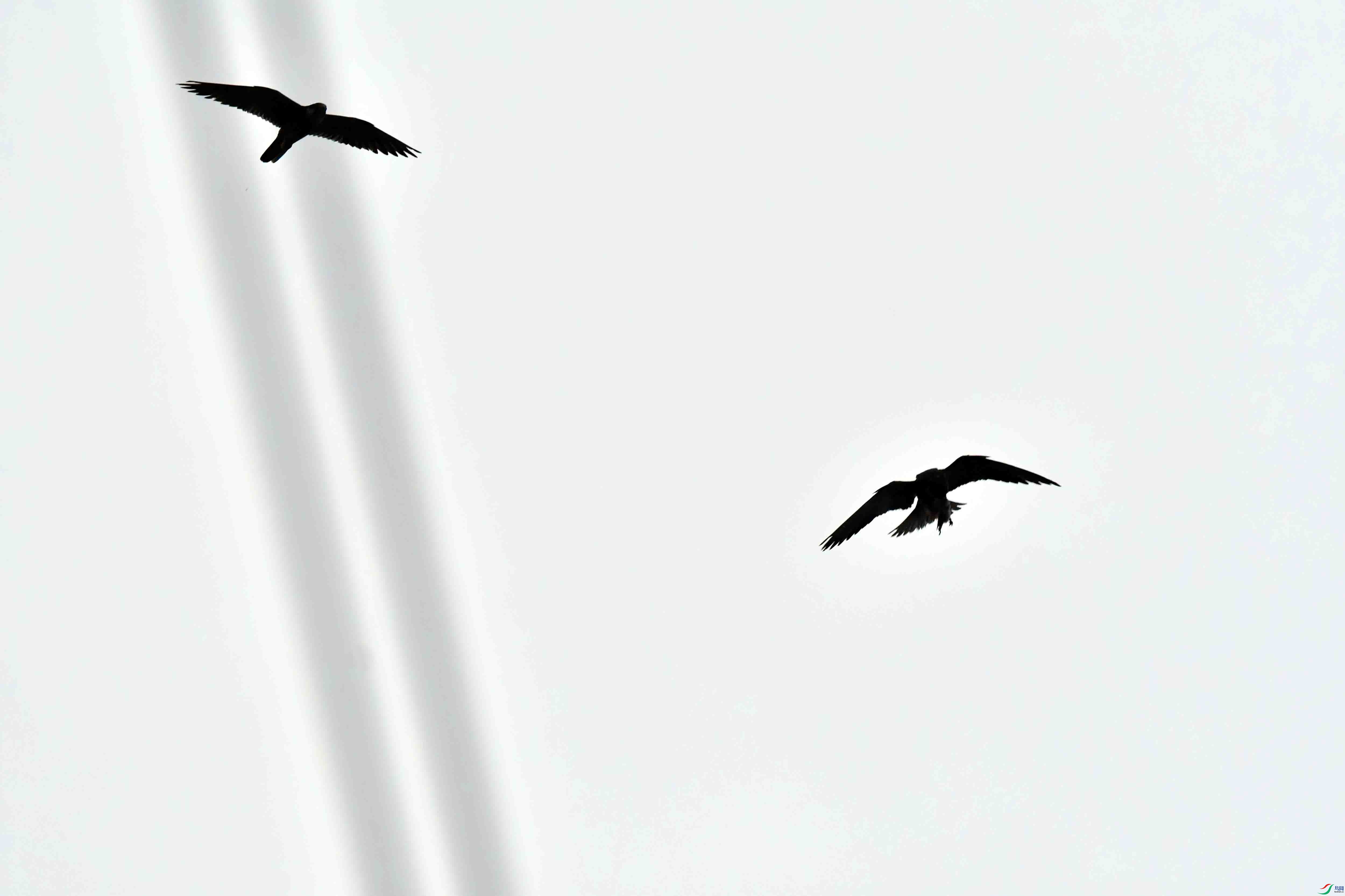 DSC_3870.JPG