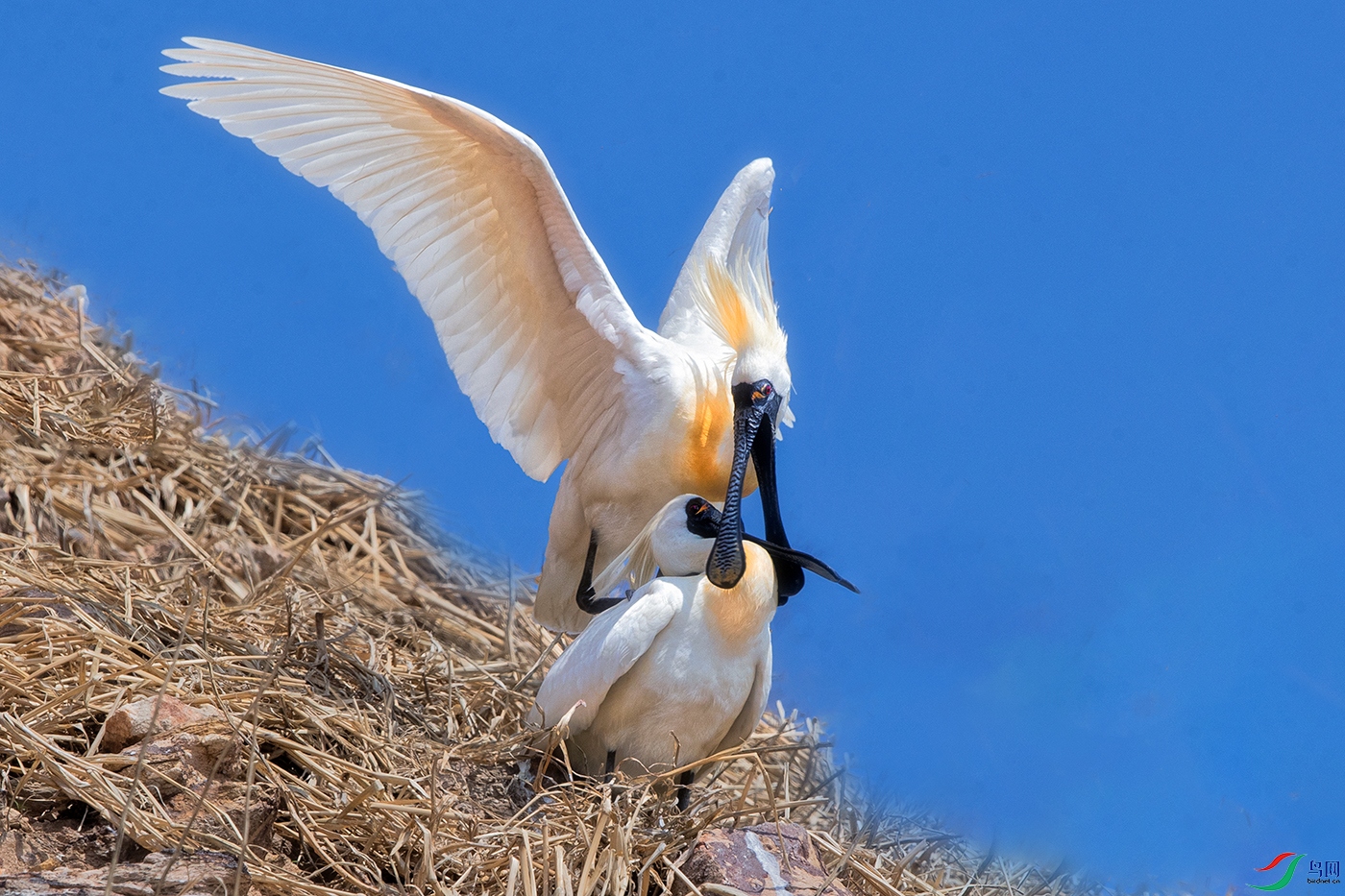 ��������-----����������ʱ