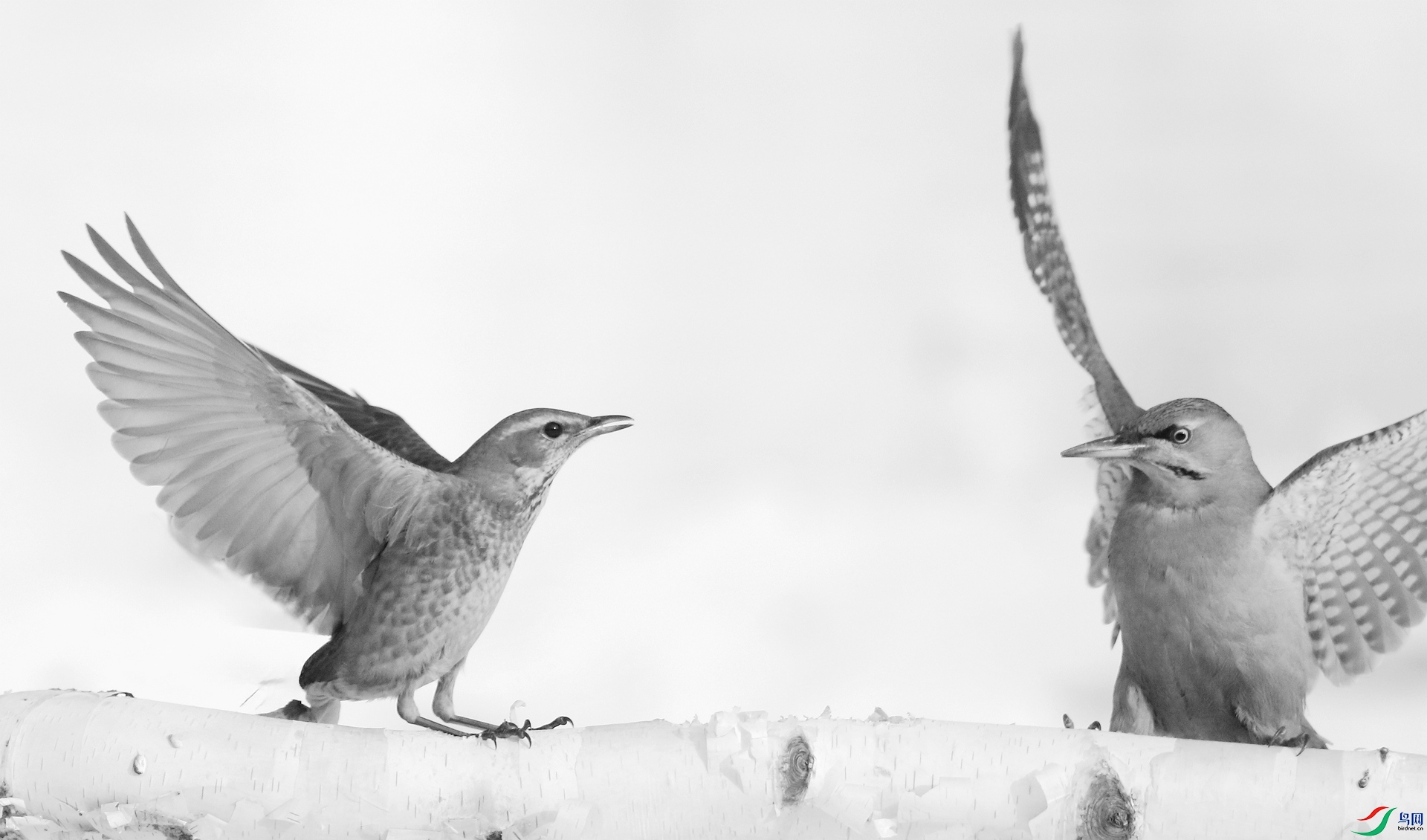 0G1A1591 ����.jpg