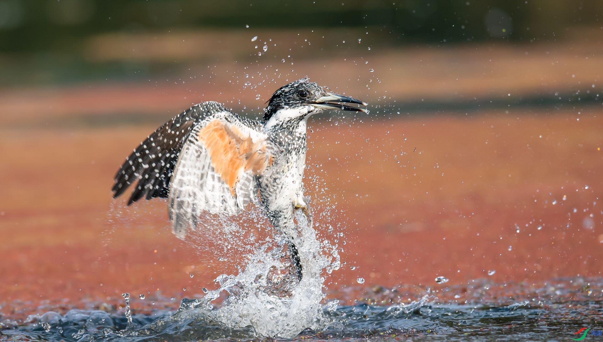 ��ԡ ����.jpg