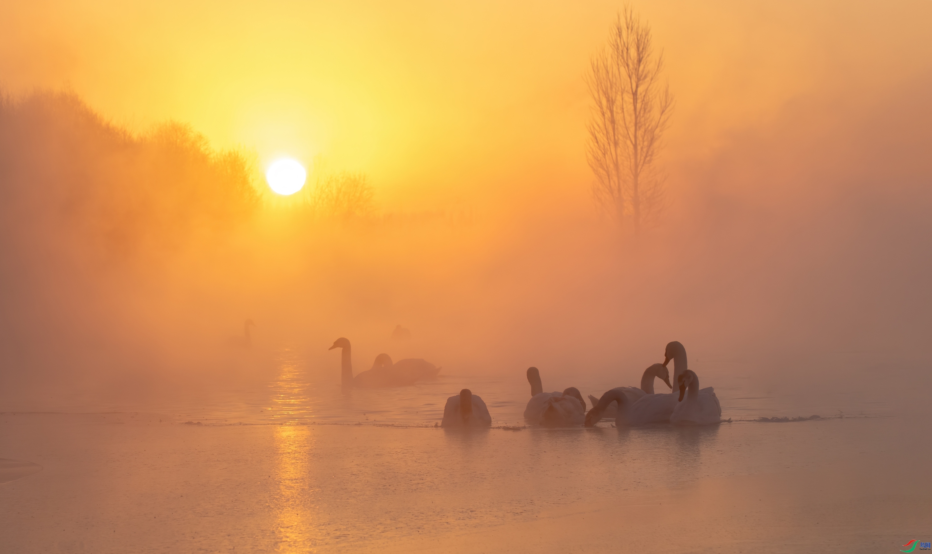 �ճ�ʱ�� ���� ��Ͽ֮�� �ܶ�.jpg