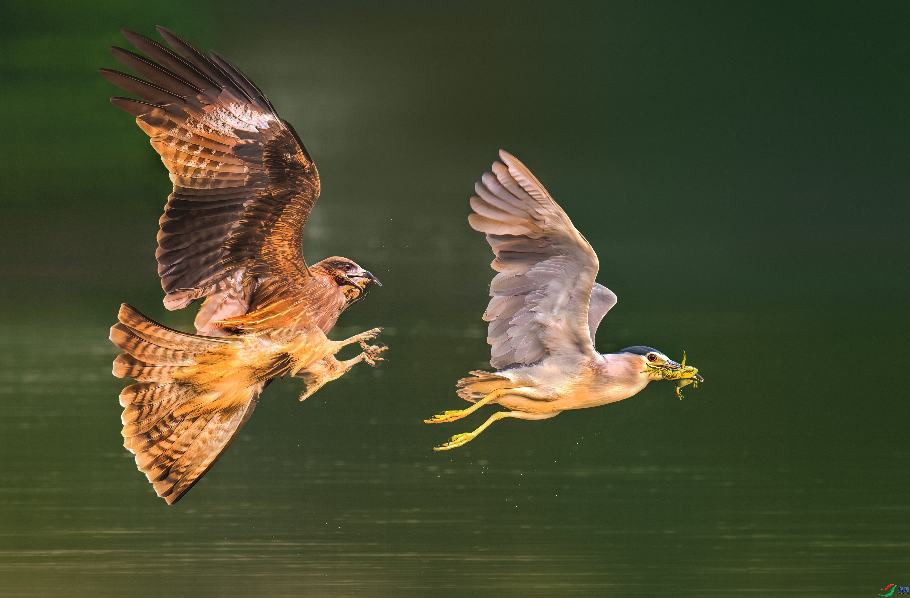 ����׷��  ���� 춼ͷ� �ܶ�.jpg