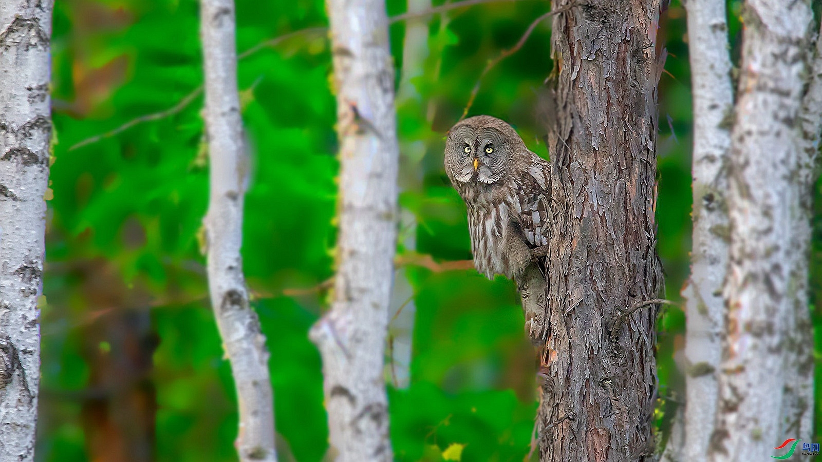 �����^ ���� ��·  �ܶ�.jpg