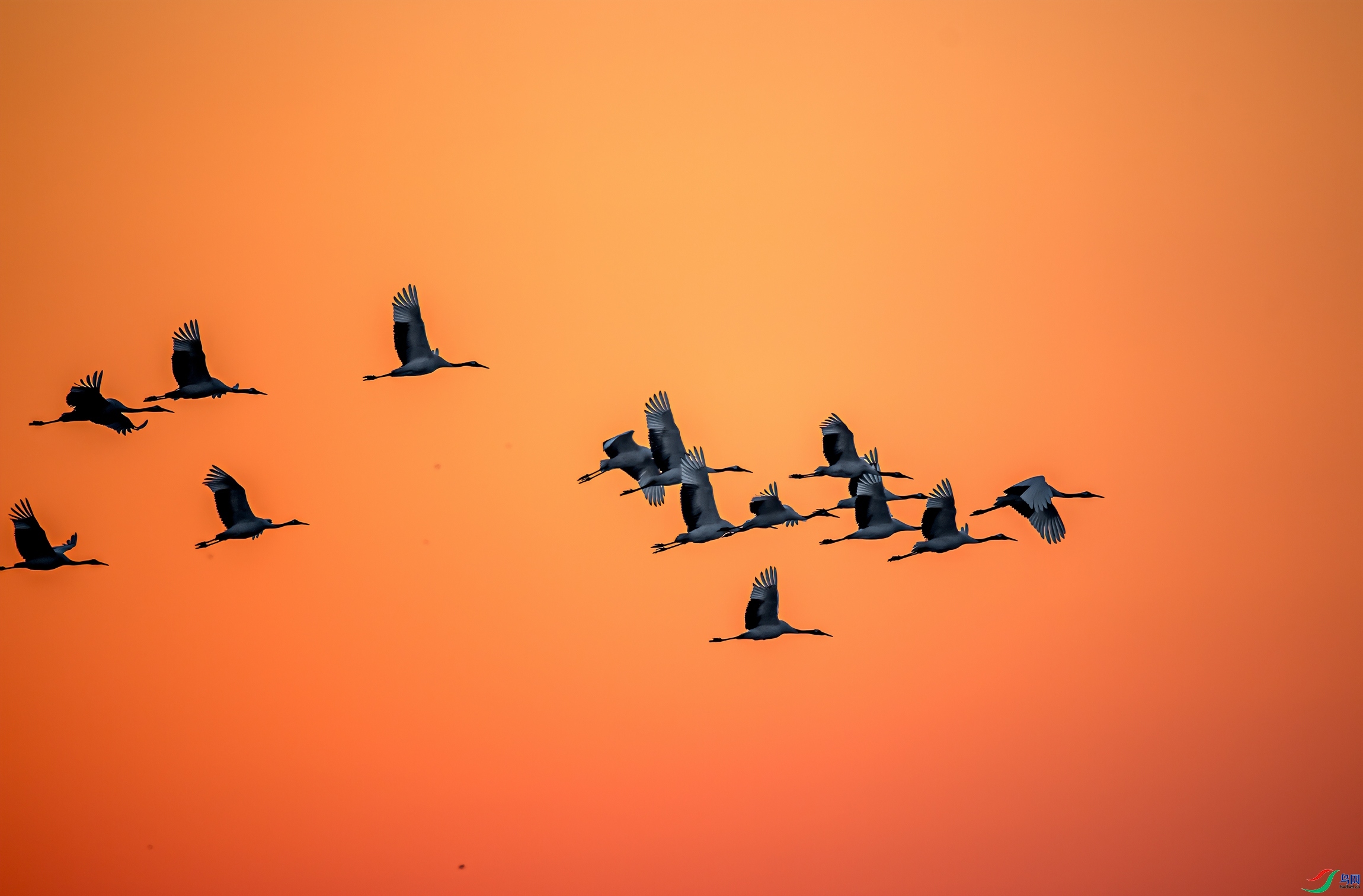 Ⱥ�׾���ӭ�´�  ���� �ܶ�.jpg