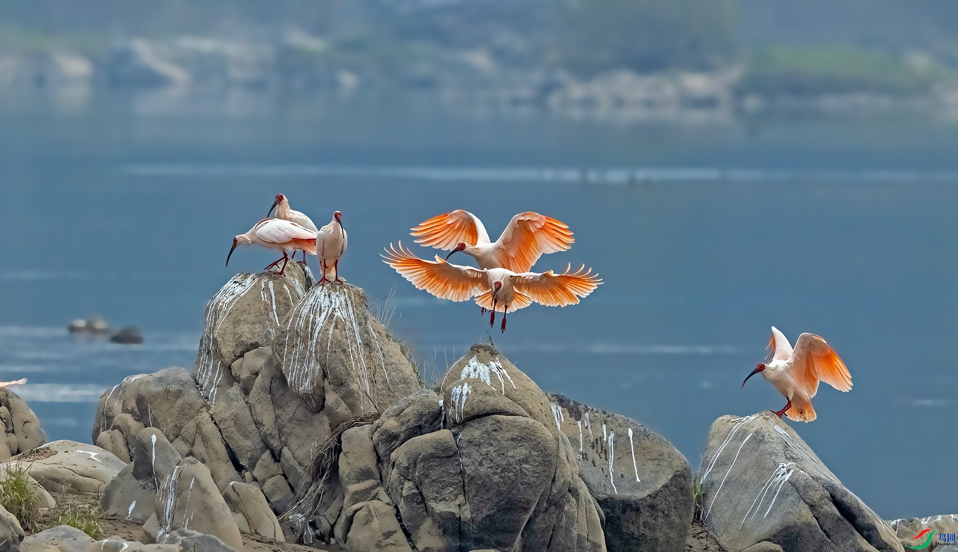 ף��λ��ʦ�´���� ���� ������� ����.jpg