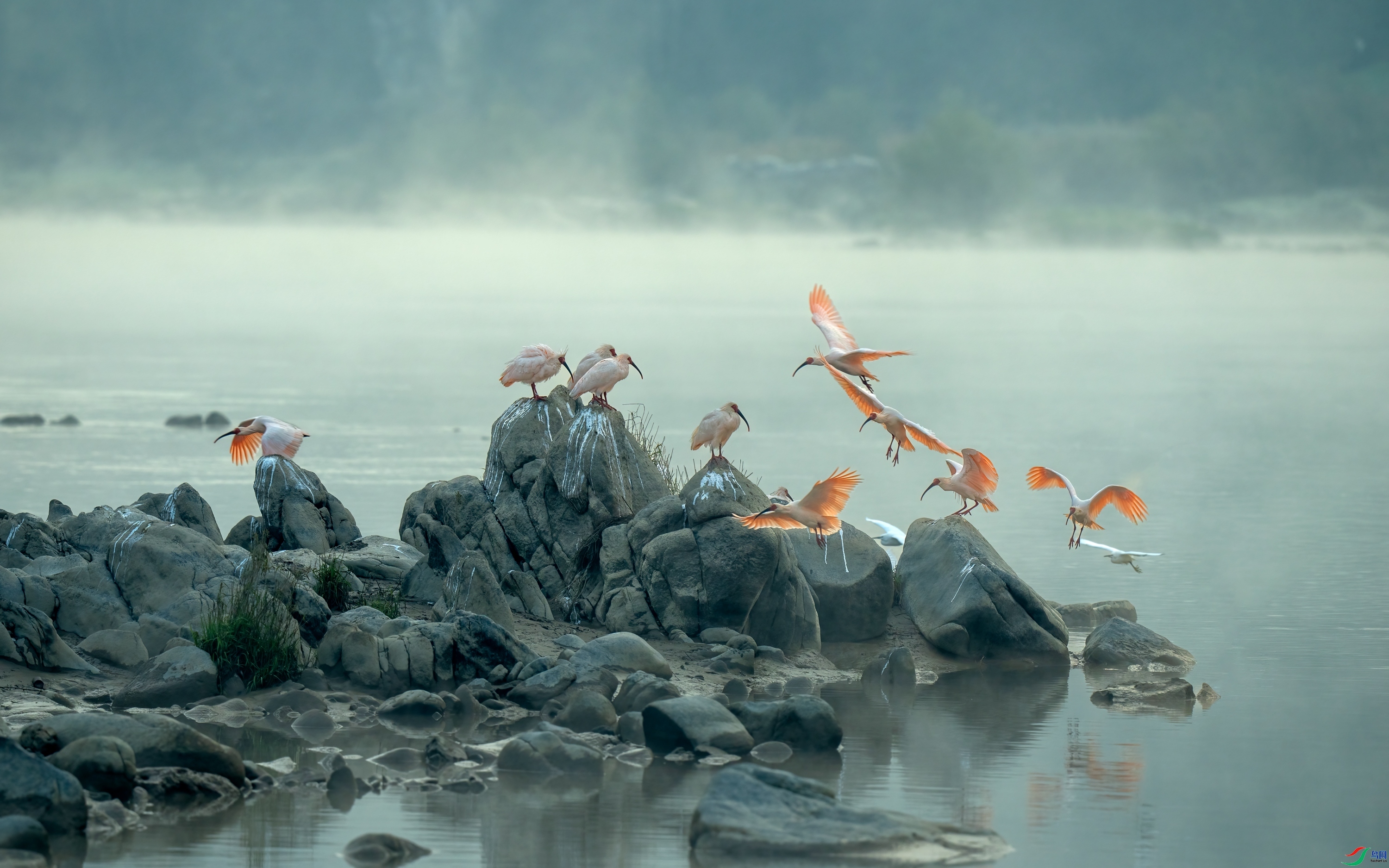 �������q  ���� ����.jpg