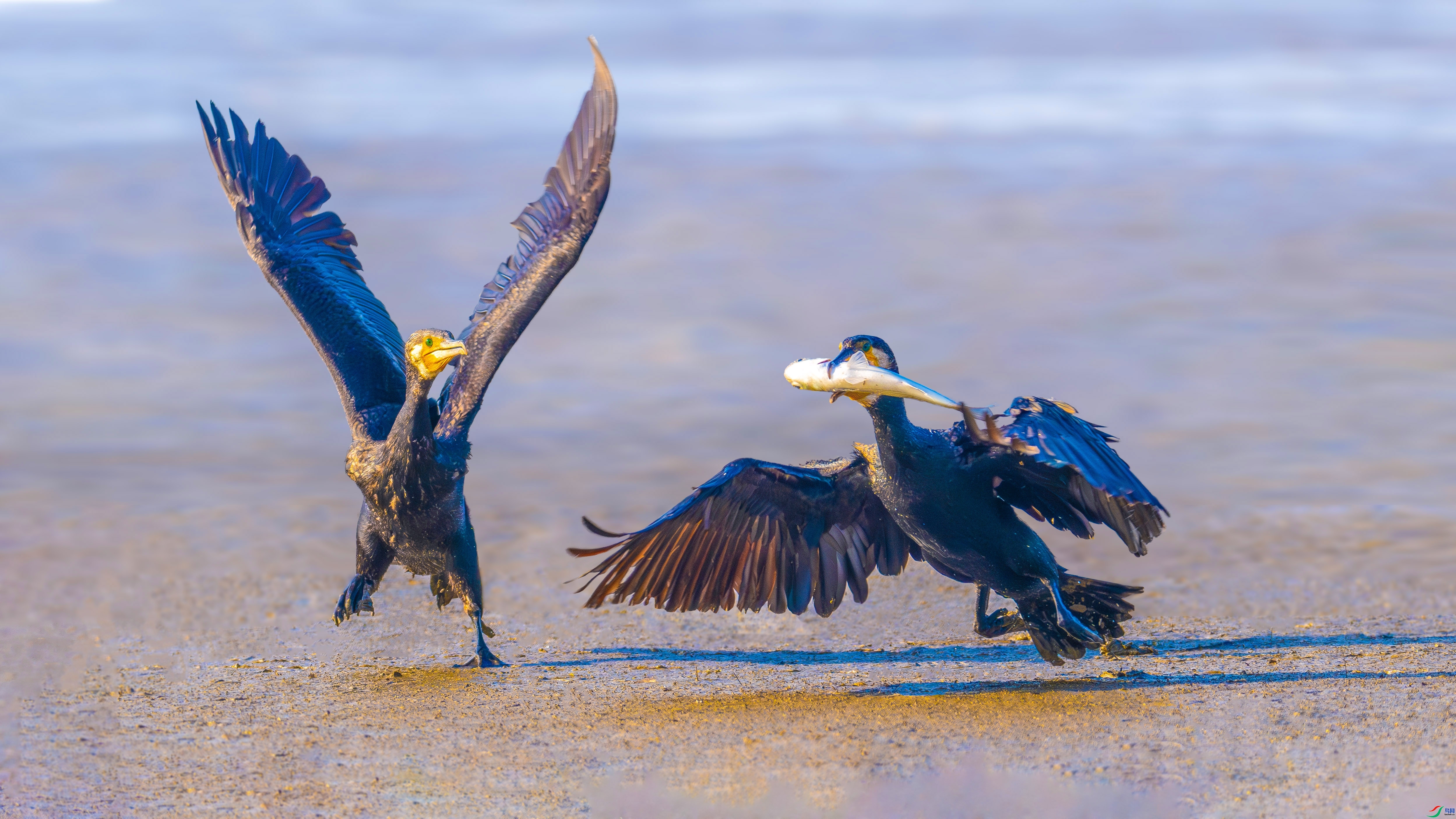 ������� ���� ��ѧ�� ����.jpg