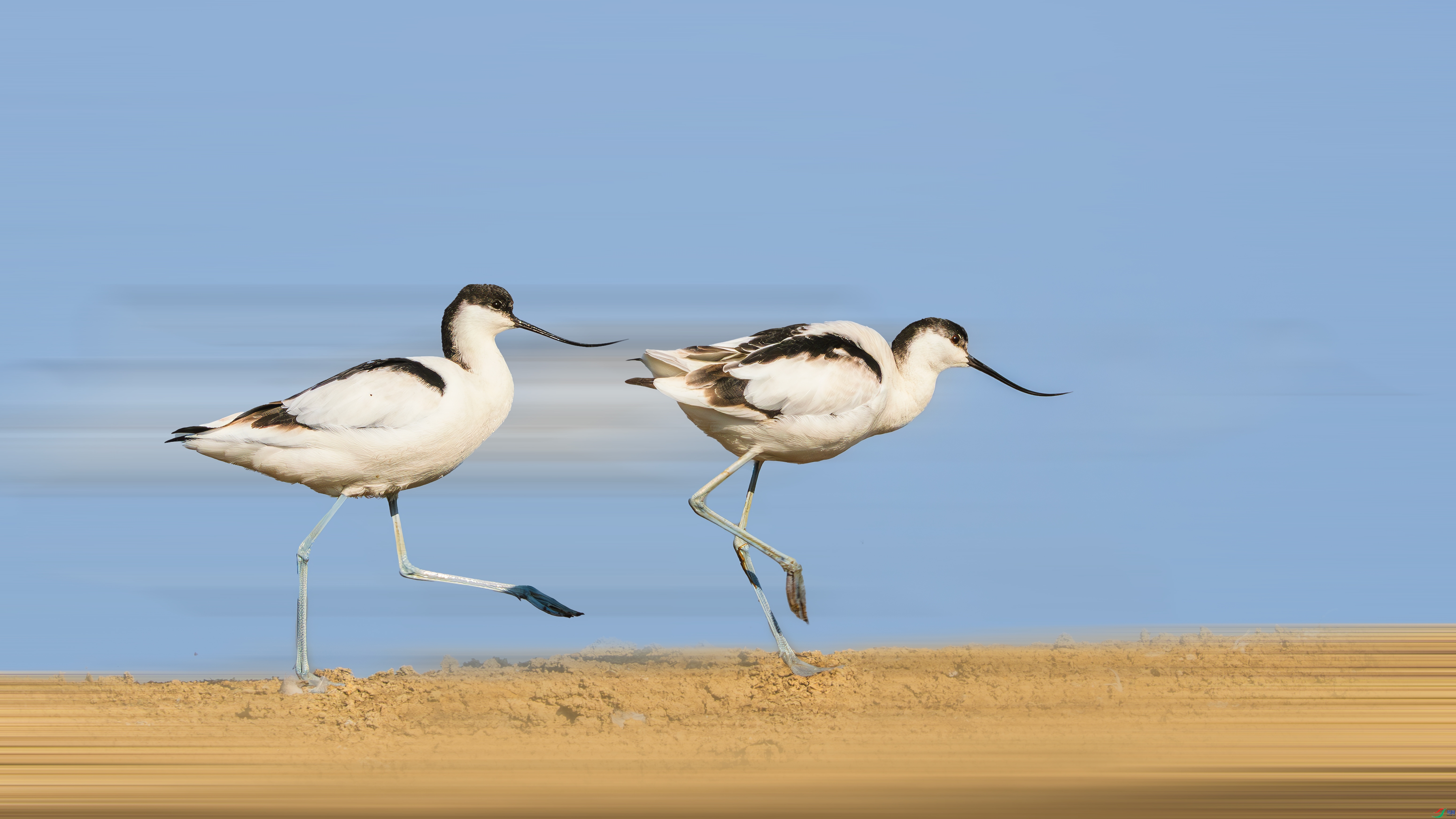 �������  ���� С���� ����.jpg