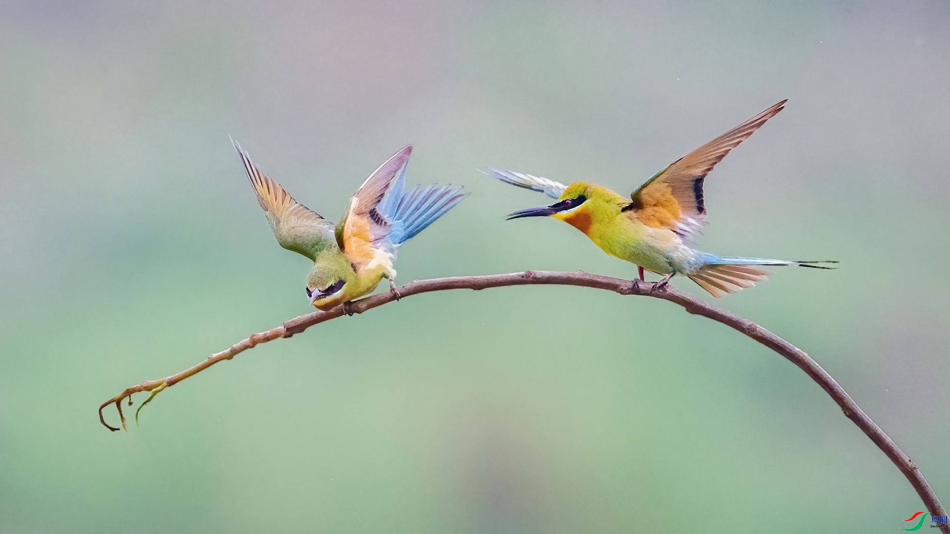 ��֮�� ���� Դ����Ȼ ����.jpg