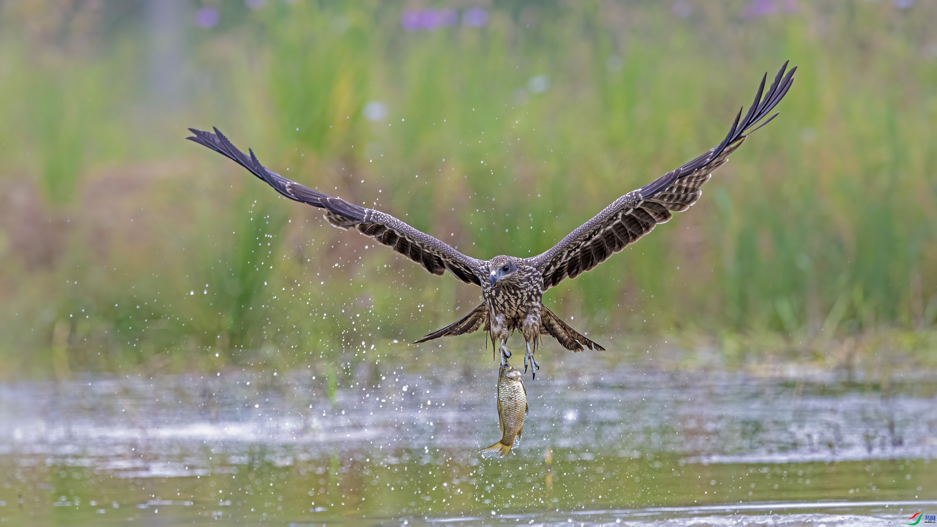 �ڶ�� ���� wh�ϳ�  ����.jpg