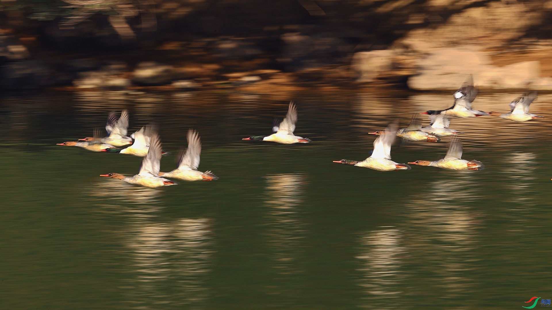 ��Ѽ  ���� ��Ұ�Ÿ� ����.jpg