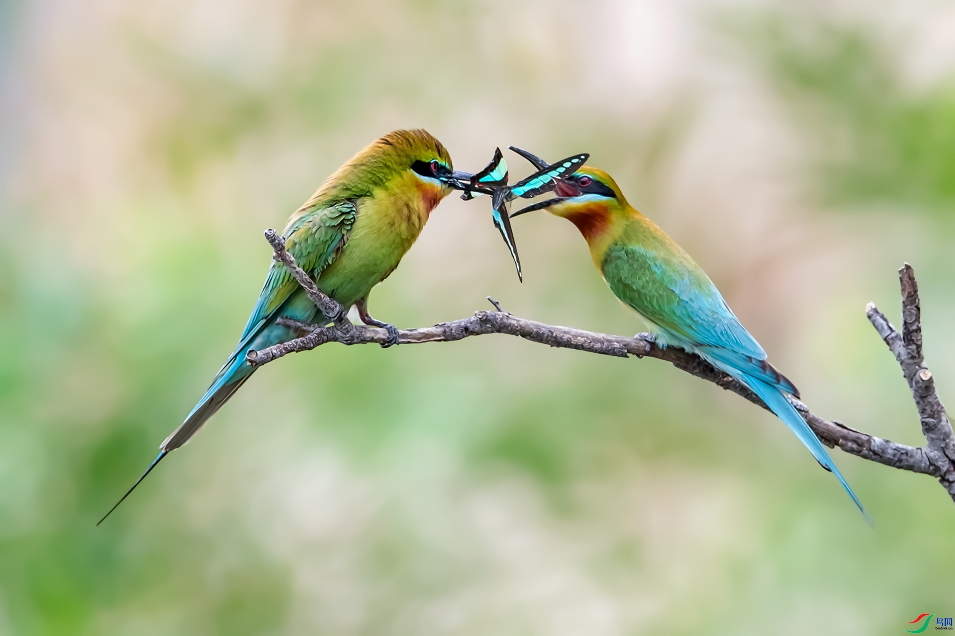 ���� ���� ����ǿ ����.jpg