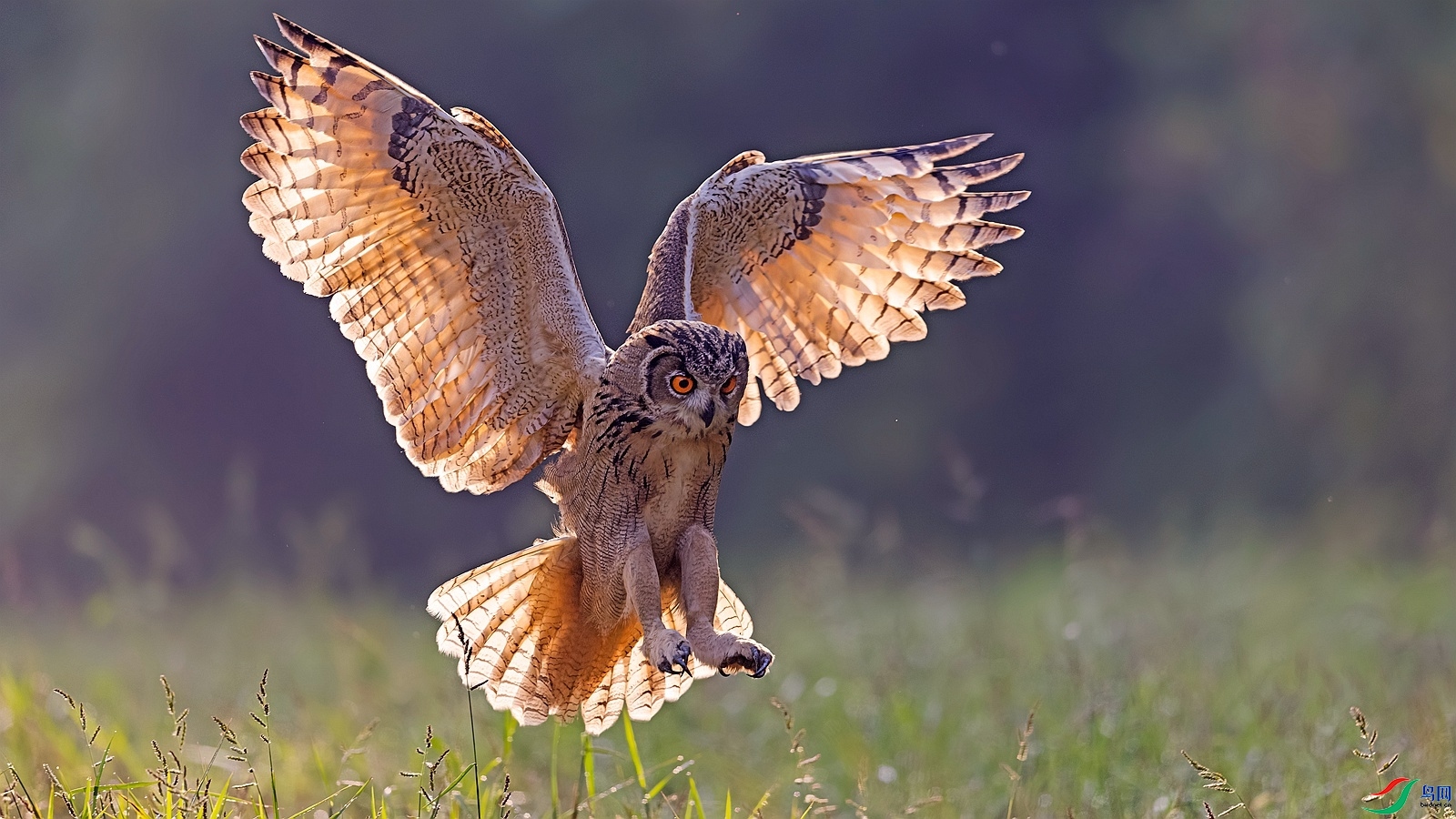 ���� ���� ��·  ����.jpg