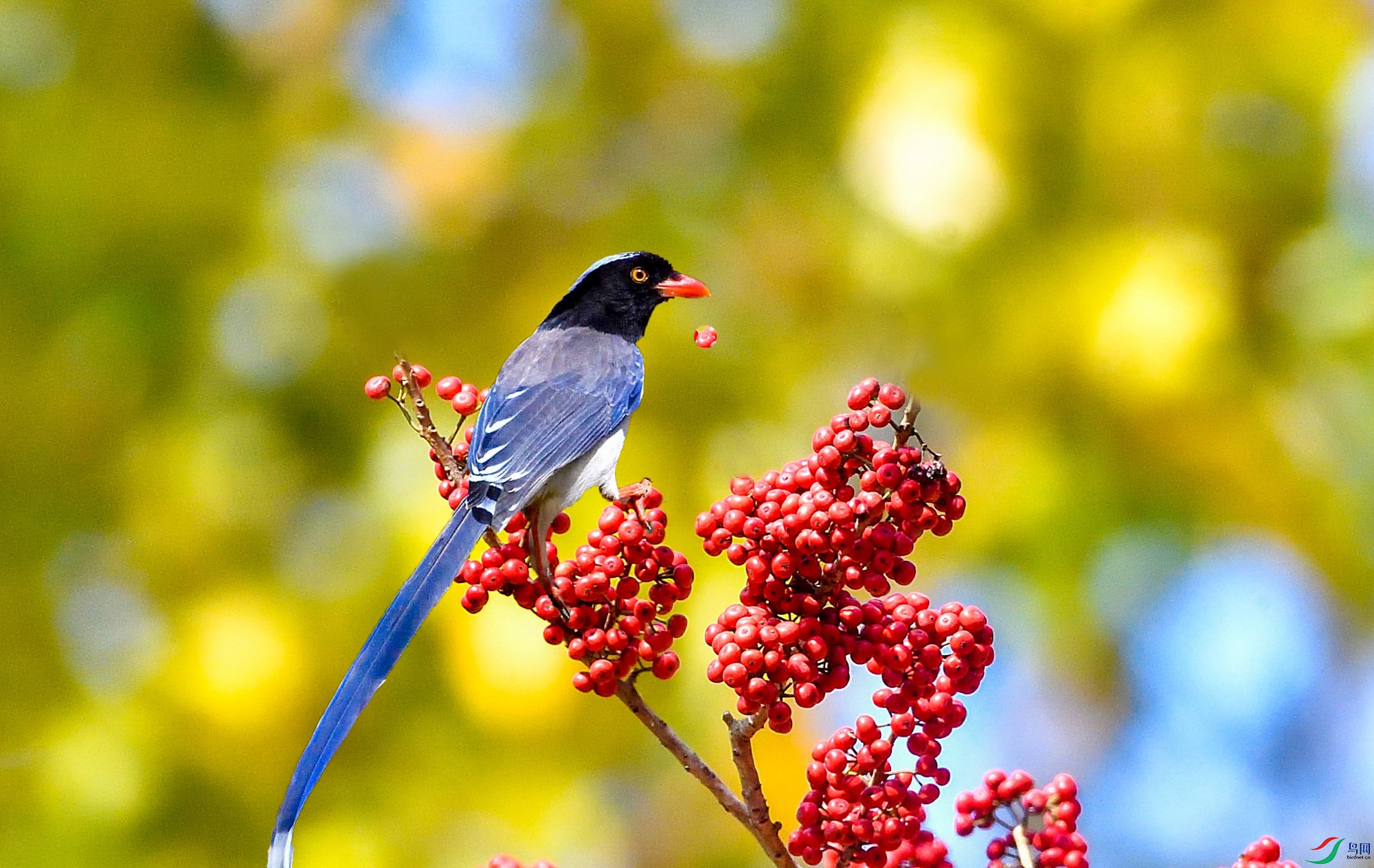 DSC_13839.jpg