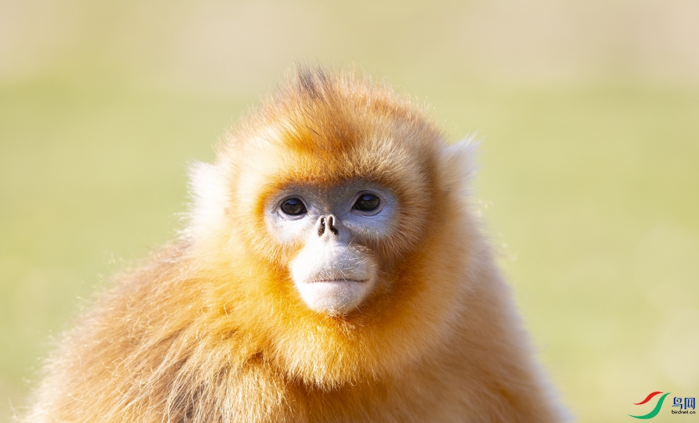 ��˿�� (5).jpg