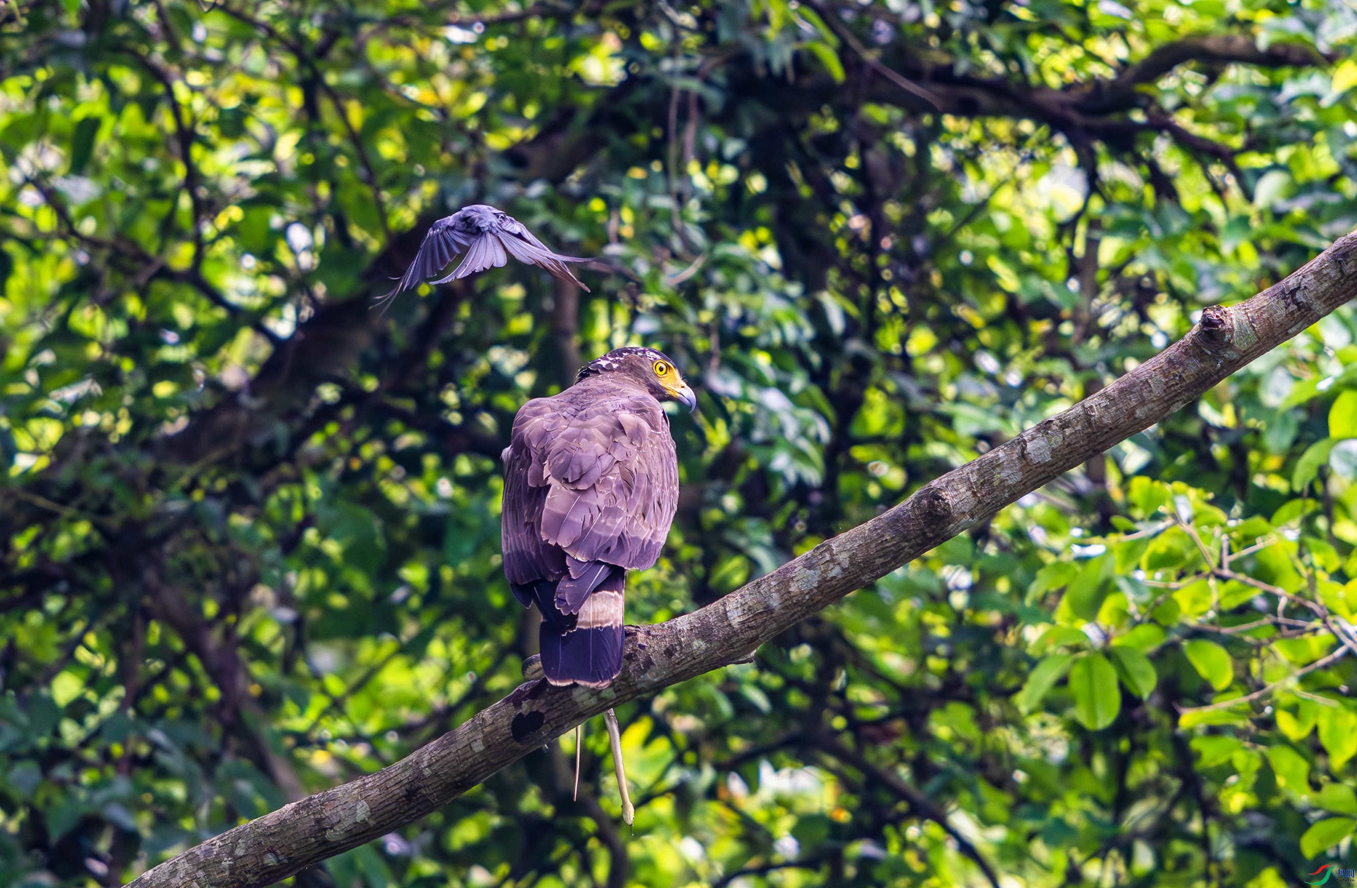 _DSC1103 (2)-����ǿ-NR_1.JPG