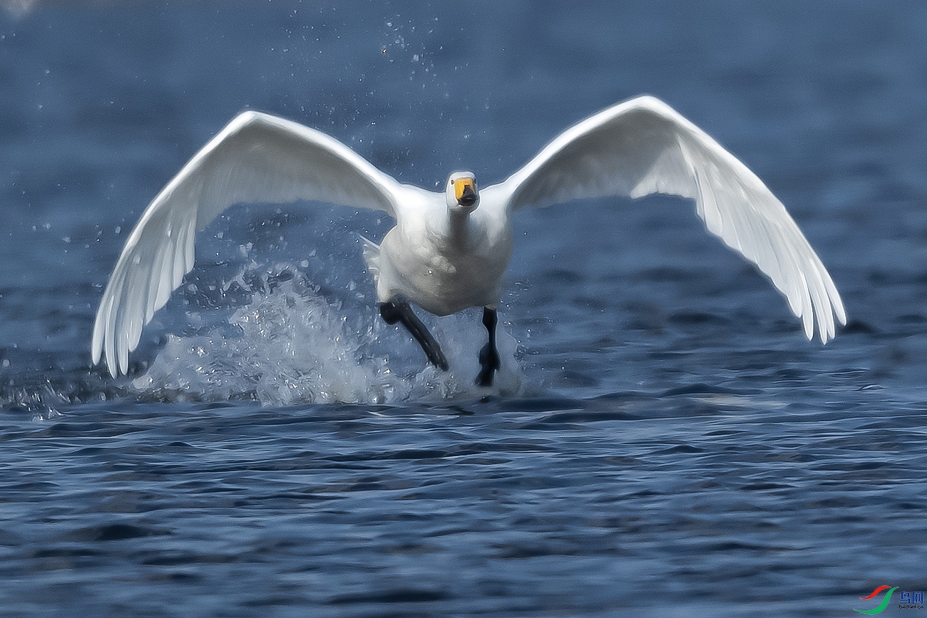 DSC_6913-.jpg
