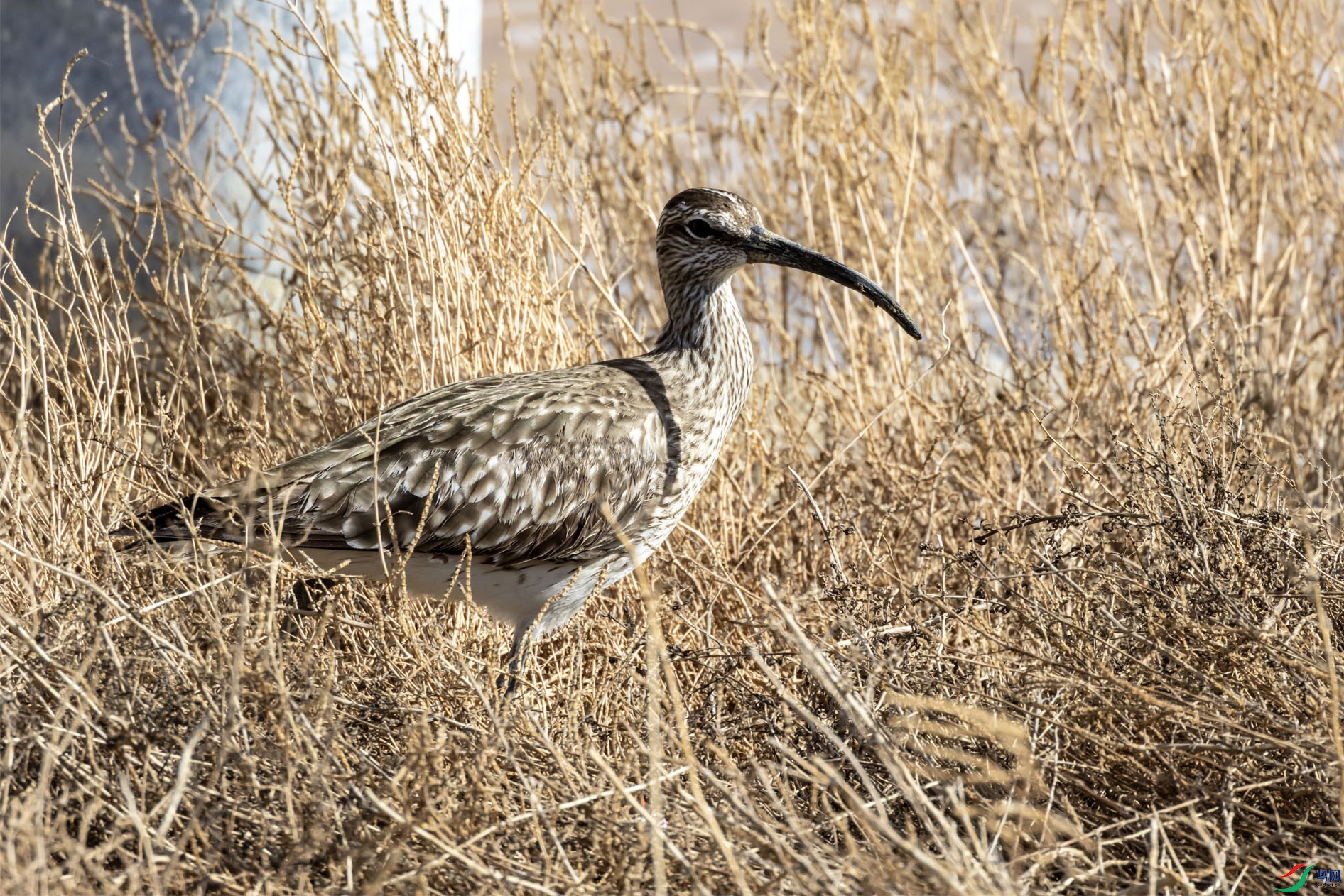 09 ����� OK ����.jpg