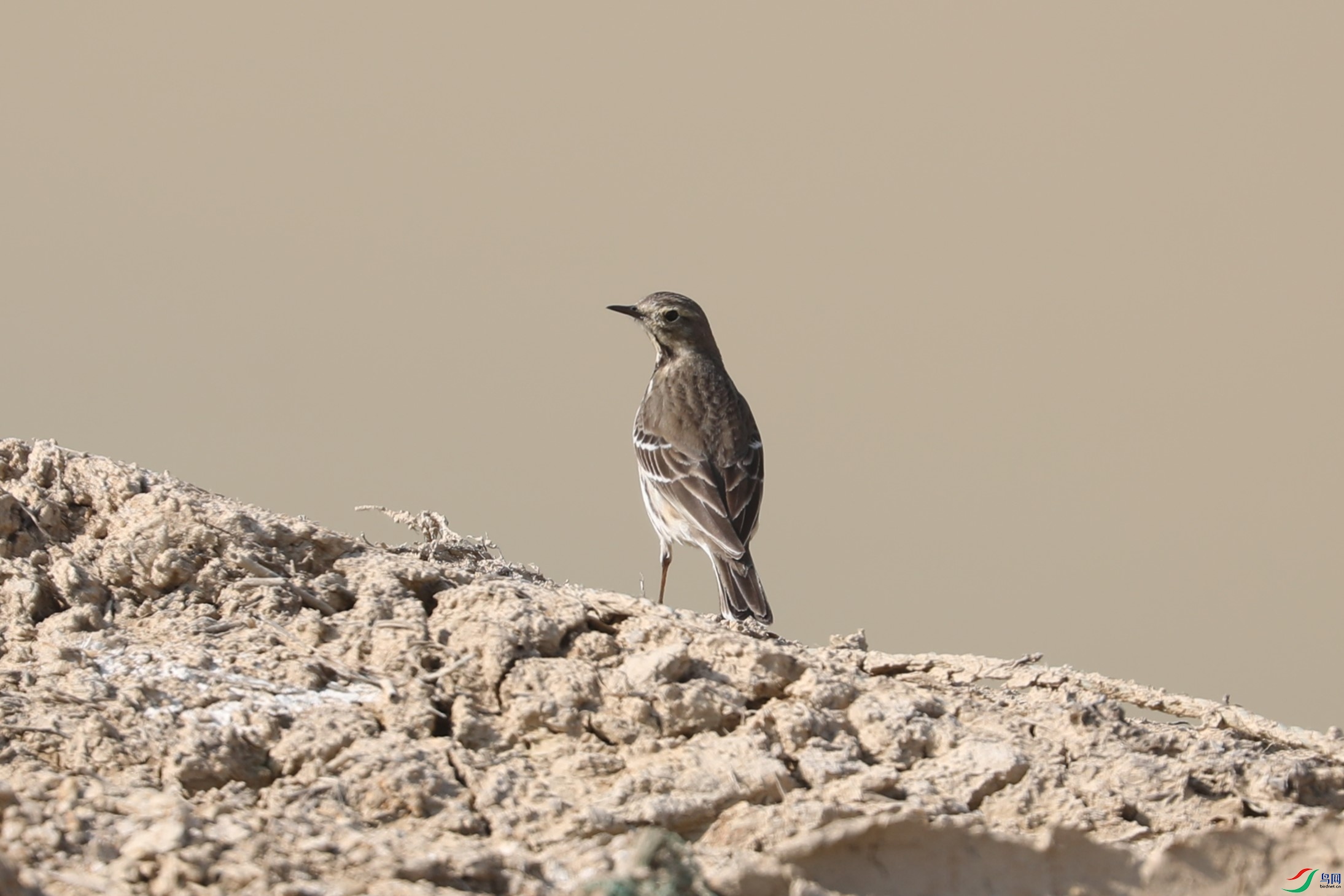 BL7A3940.JPG
