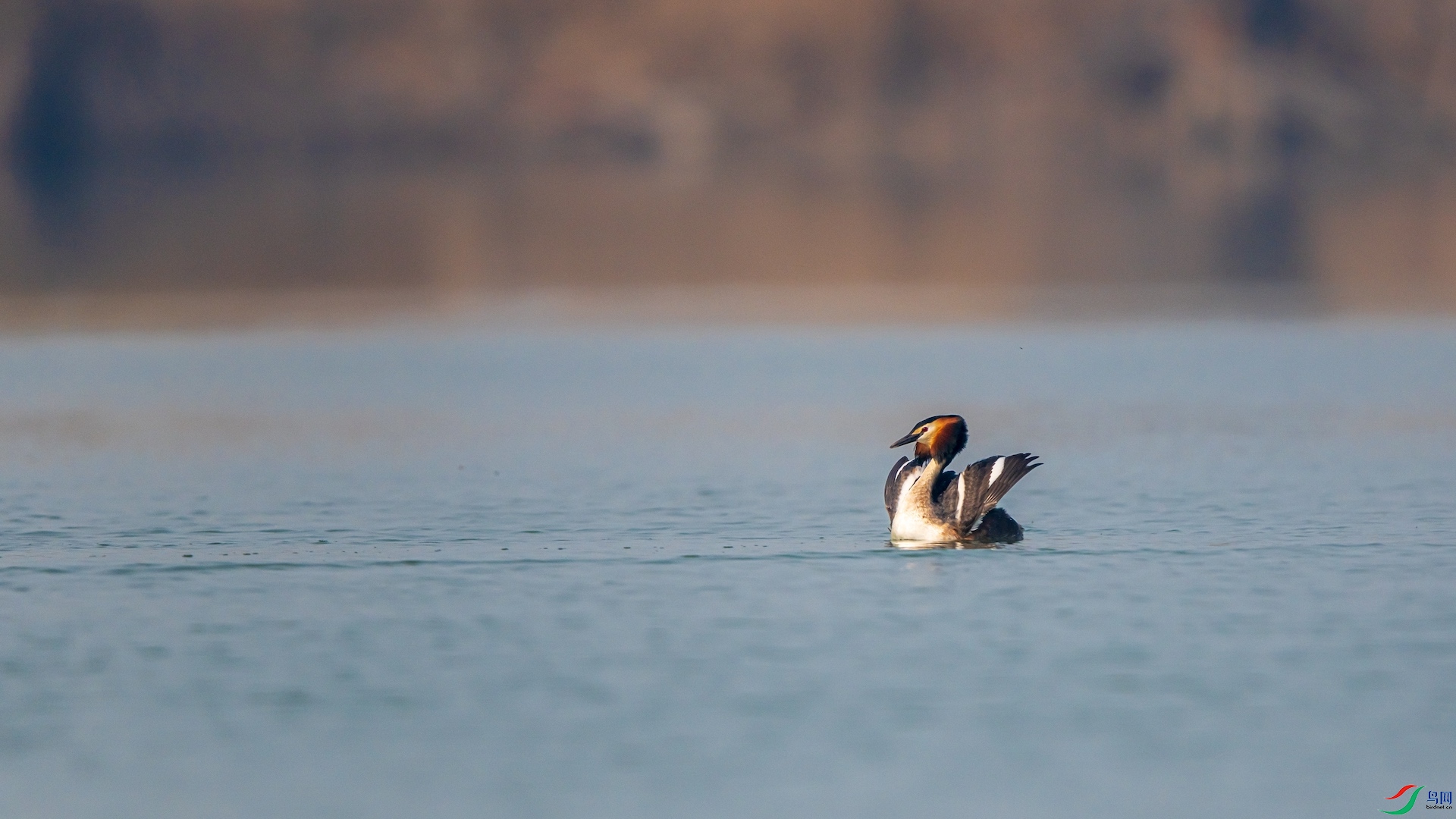 1_XXI2189 ����.jpeg