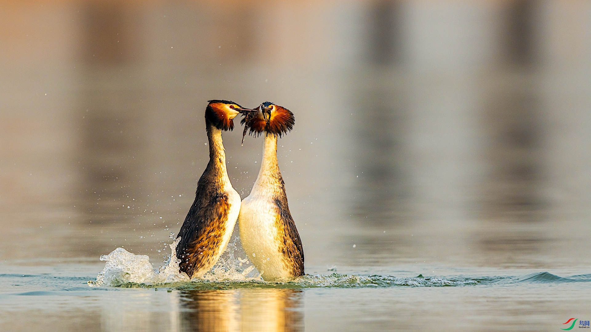 _XXI4459 ����.jpeg