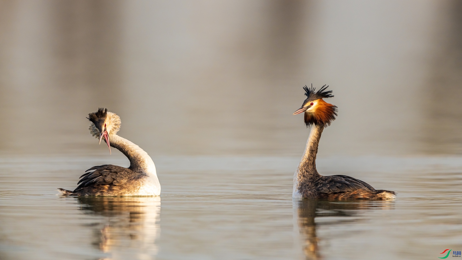 _XXI4593 ����.jpeg