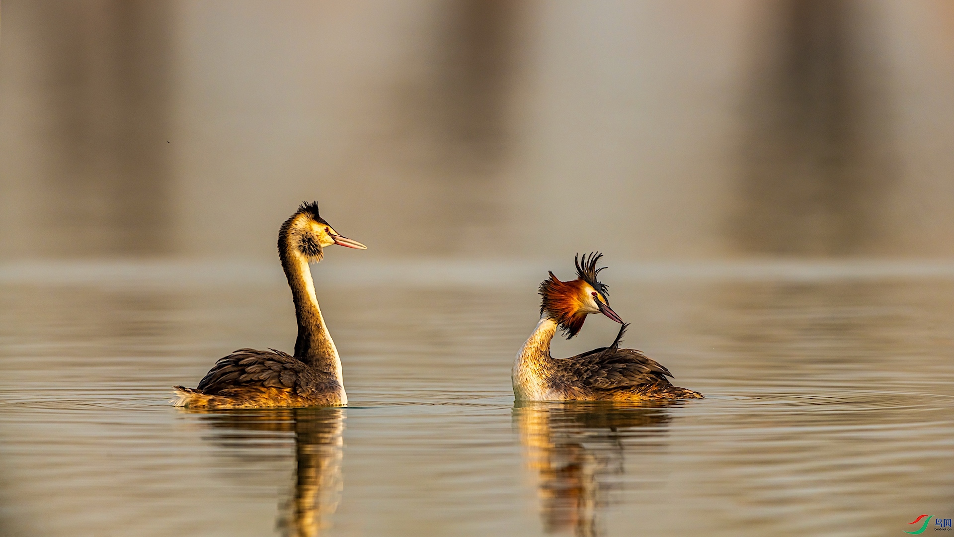 _XXI4633 ����.jpeg