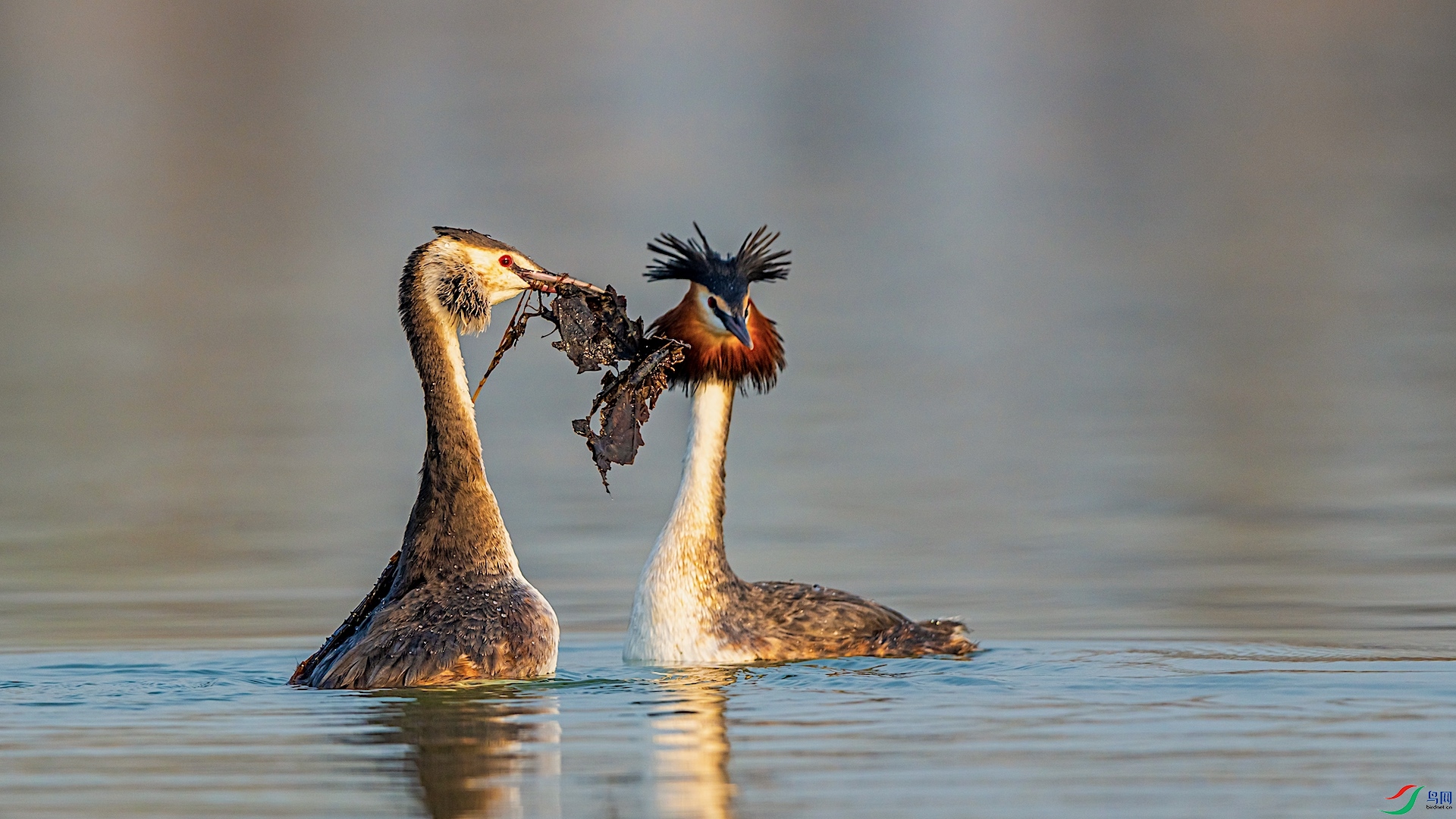 _XXI4763 ����.jpeg