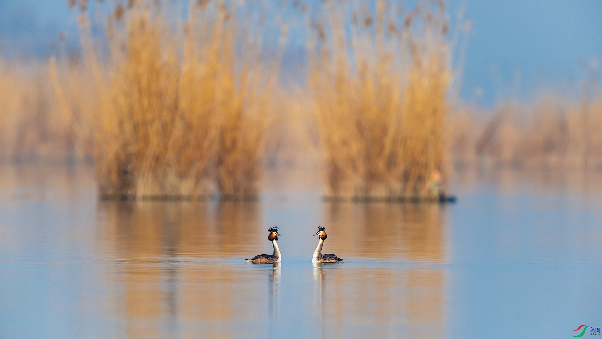 _XXI4867 ����.jpeg