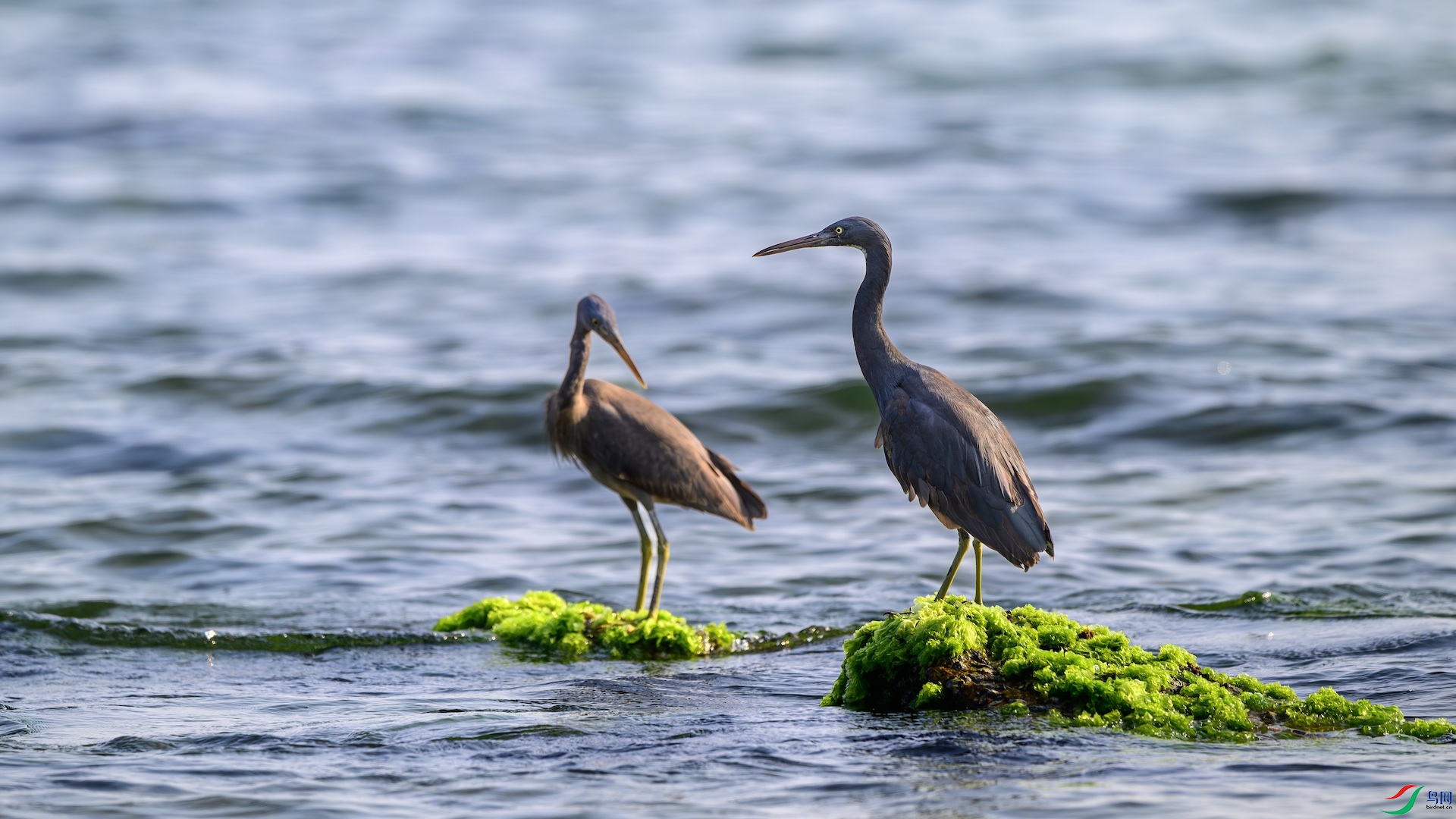 _XXL0486-����ǿ-NR ����.jpeg