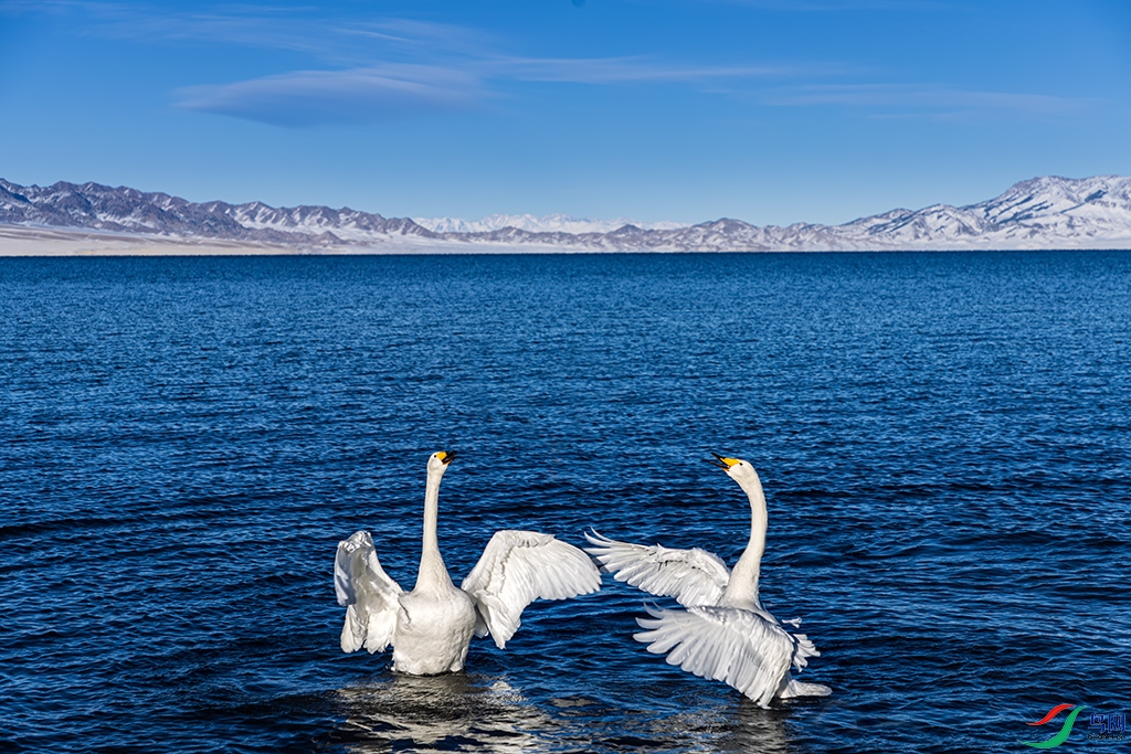 xjslmh241229 (1855).jpg