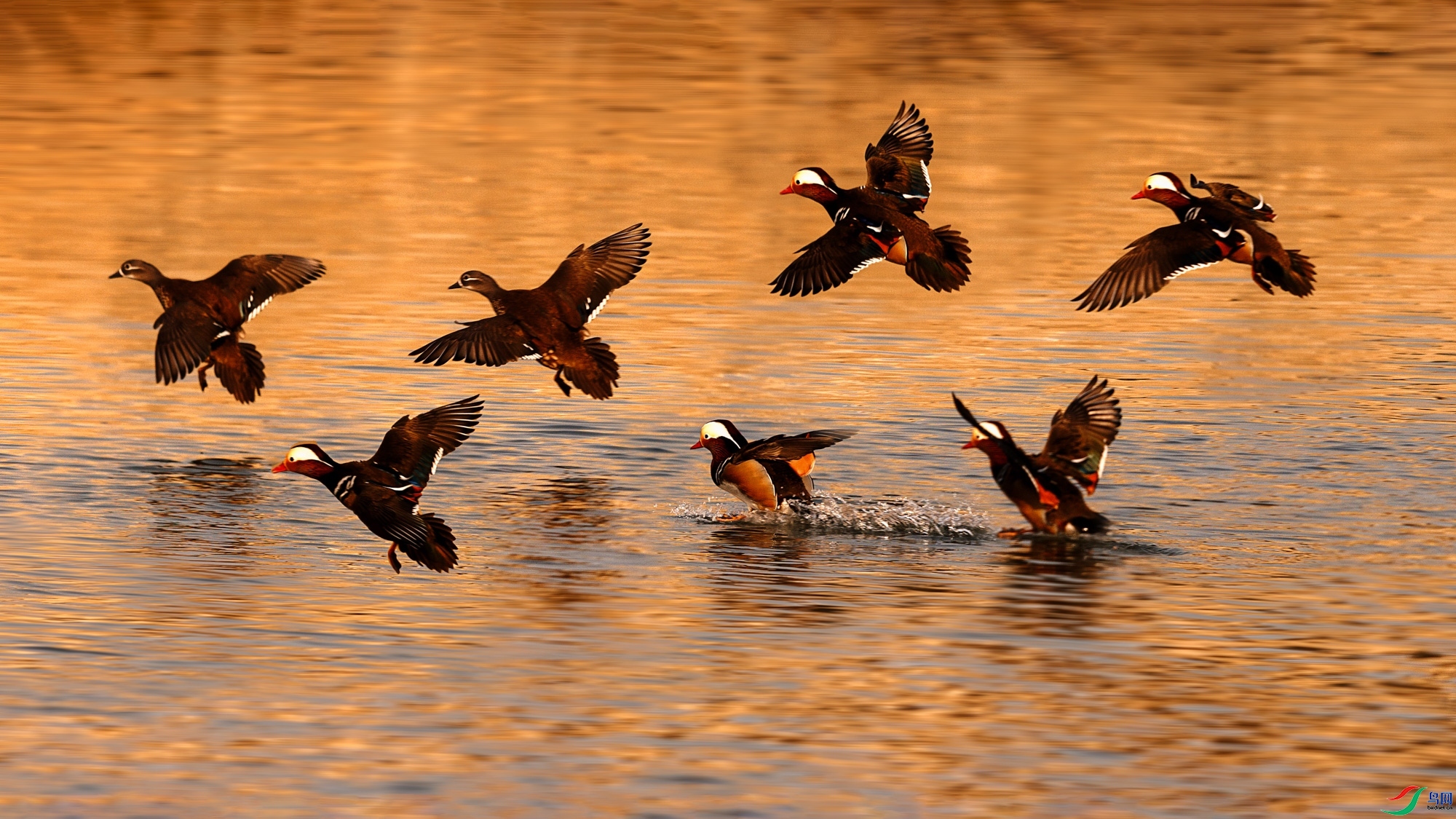 1.30ѧ����ʦ��Ʒ   ԧ��Ϸˮ ��ף���ٻ��Ա������.jpg