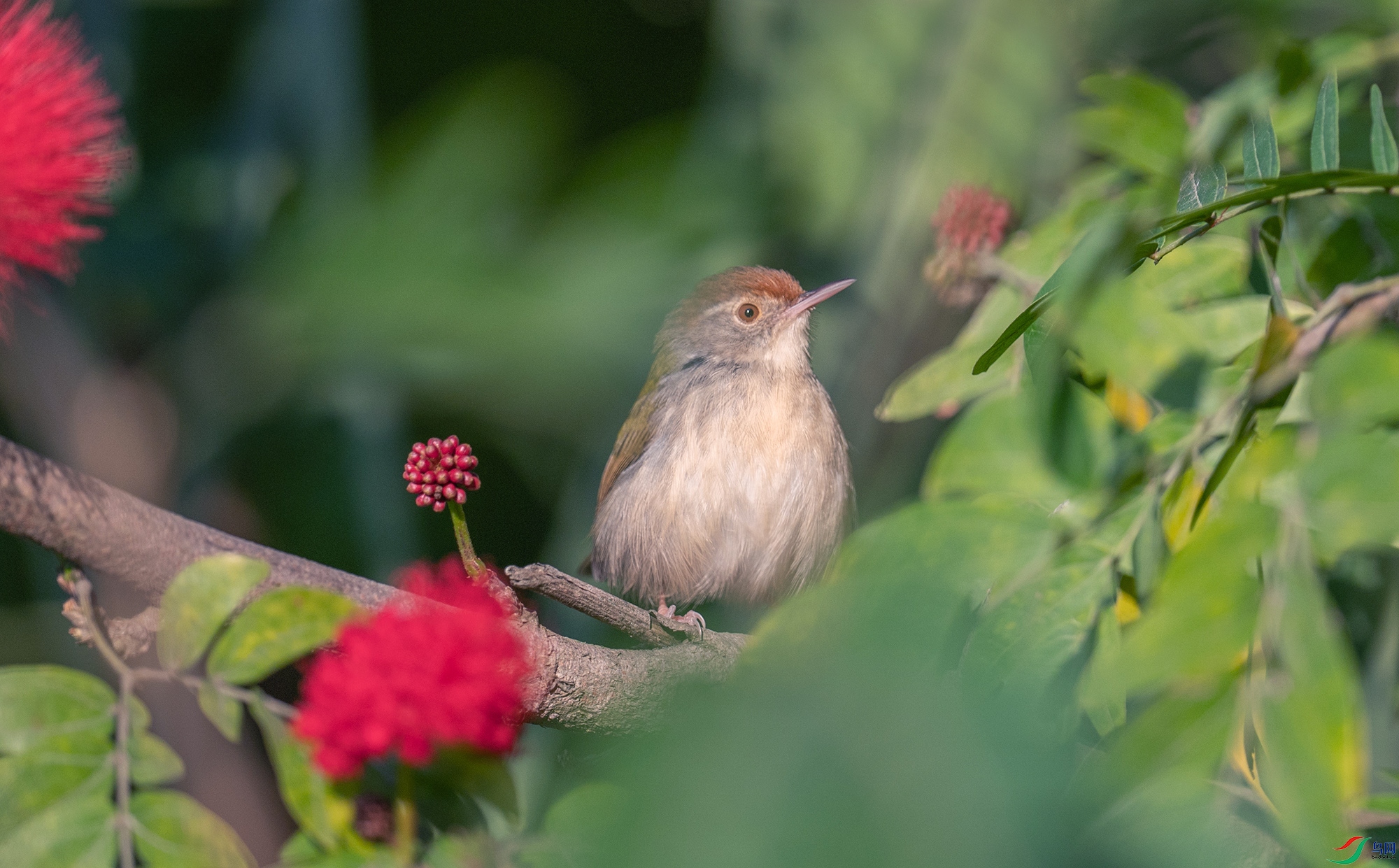 DSC_7189_.jpg
