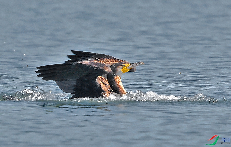 AAC_1493.JPG