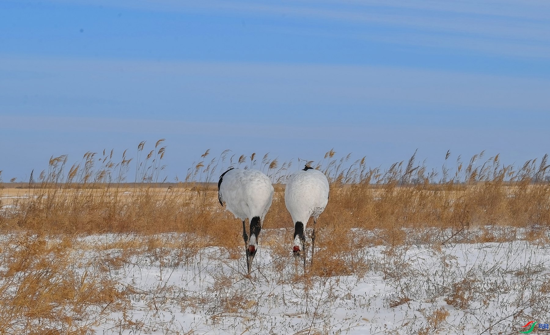 2.3����ͬ��yy��ʦ��Ʒ   ������һ��.������� ��ף���ٻ��Ա������.jpg