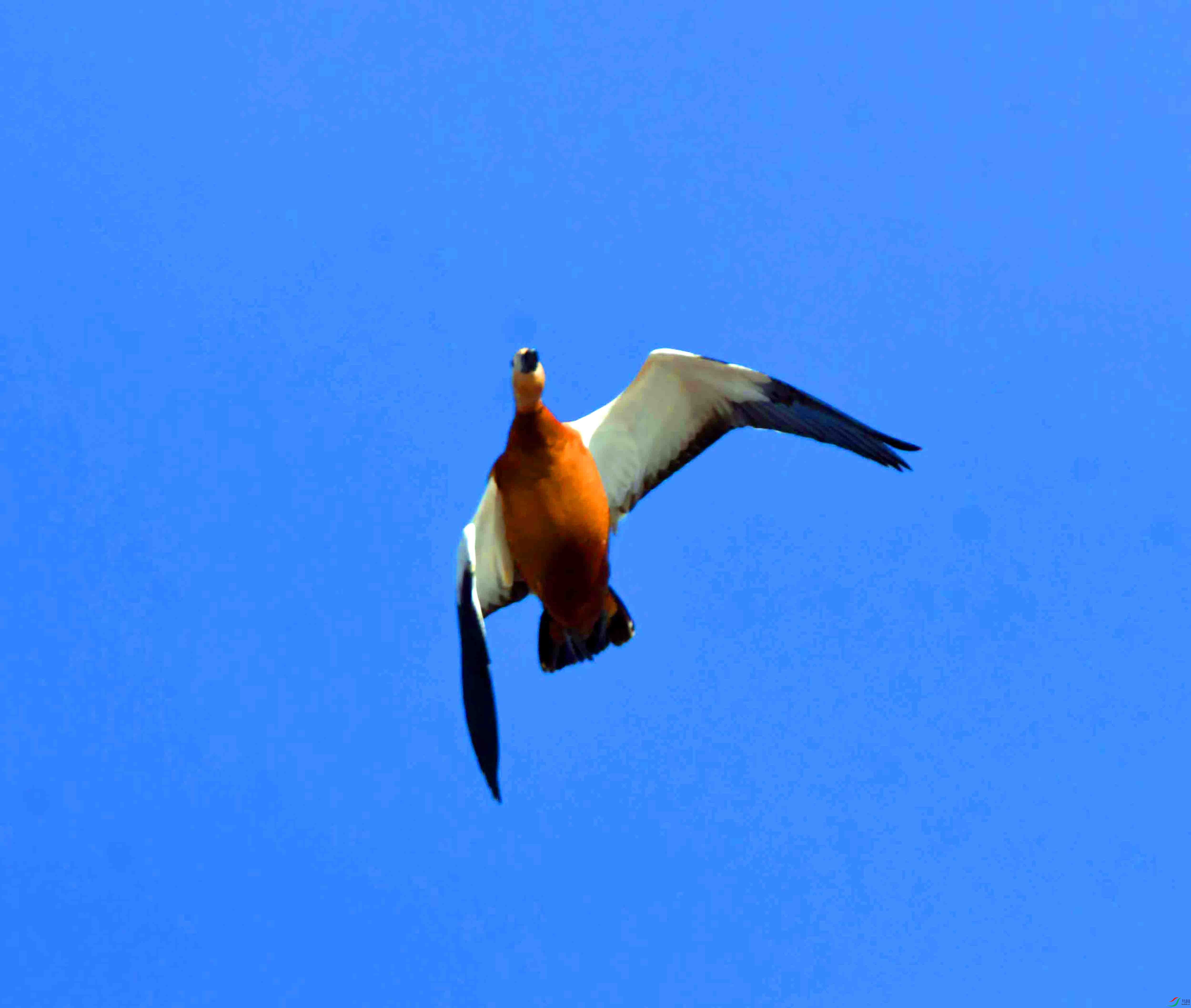 DSC_9100.JPG