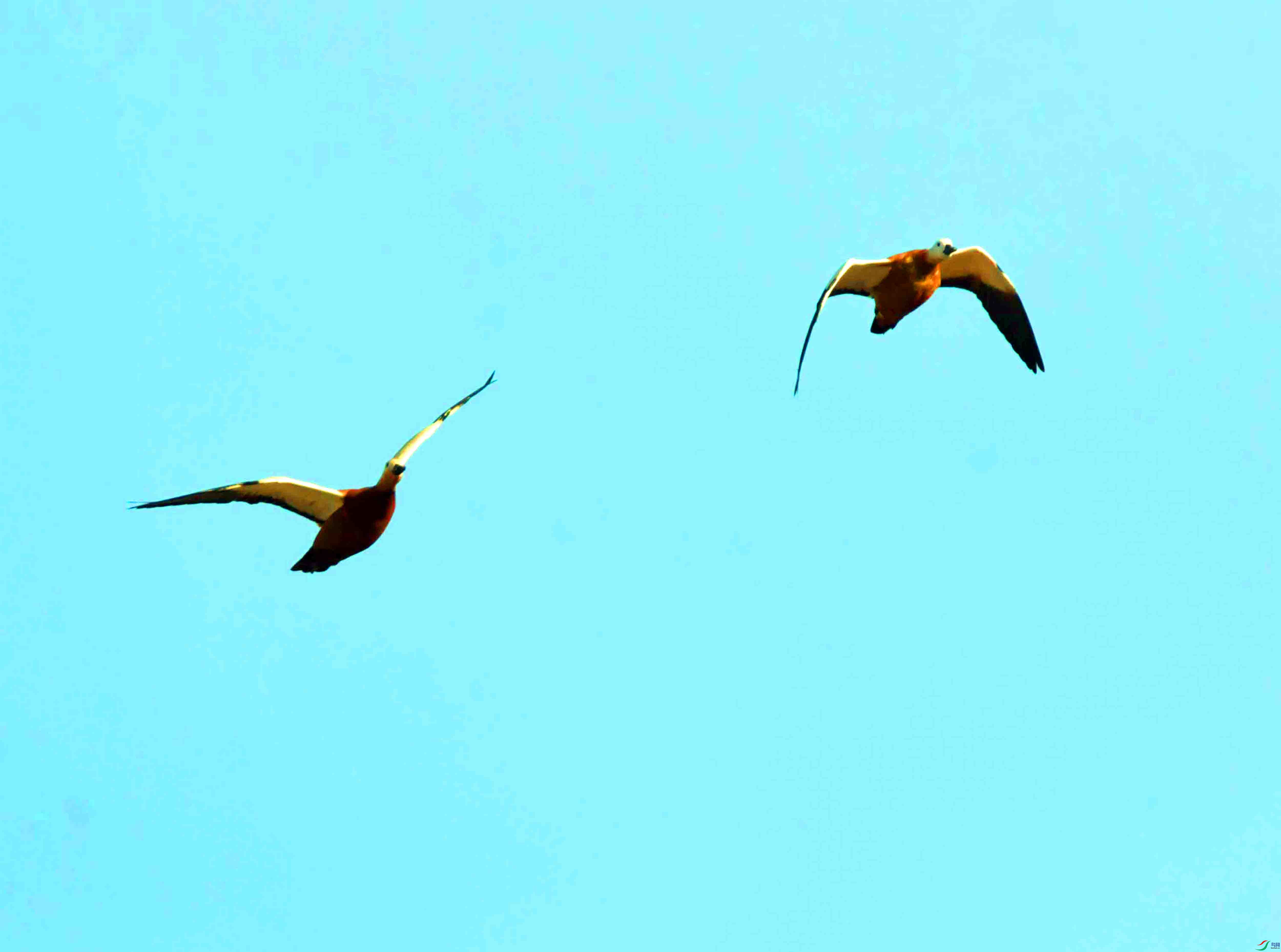 DSC_9136.JPG