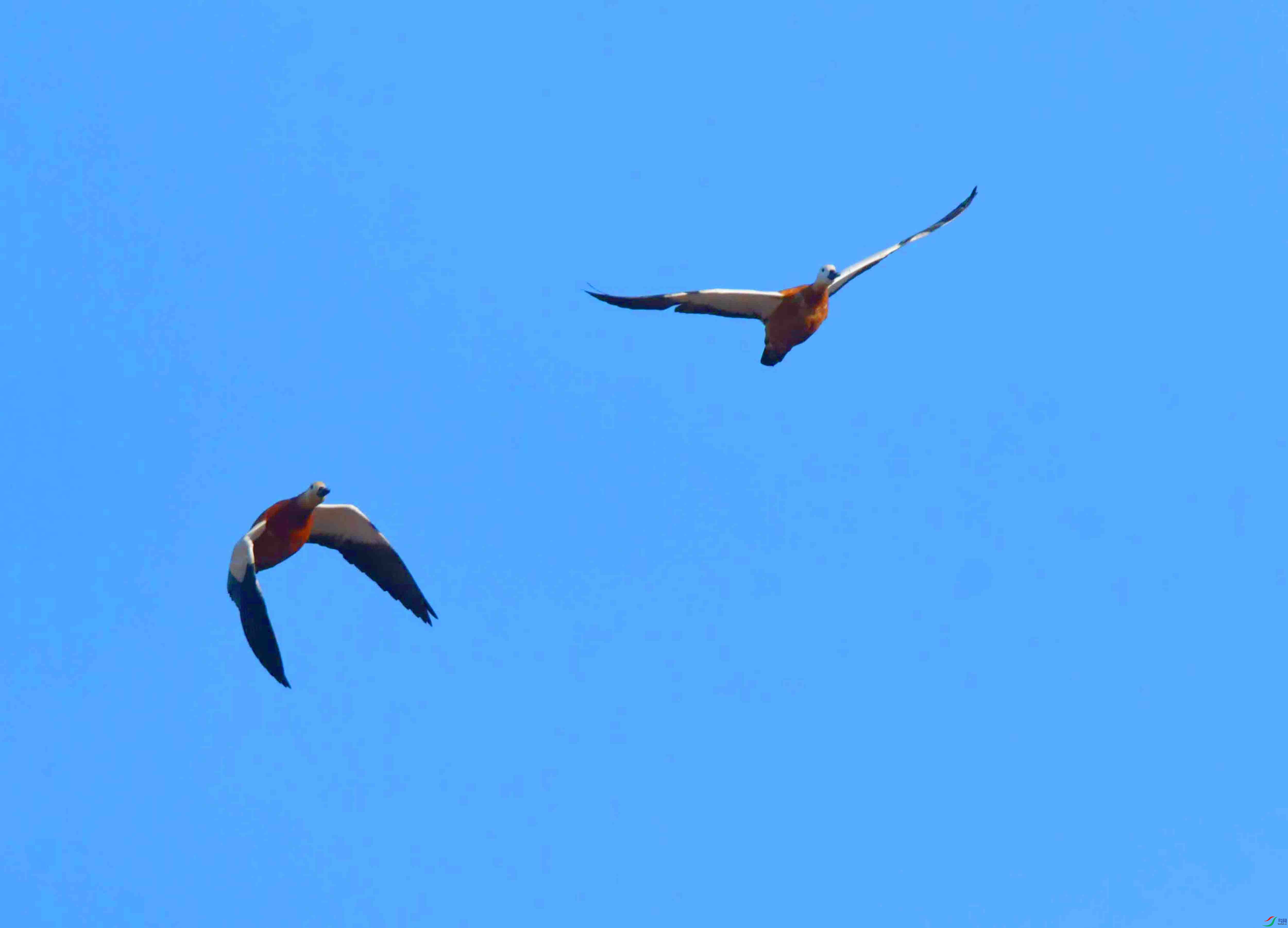 DSC_9137.JPG