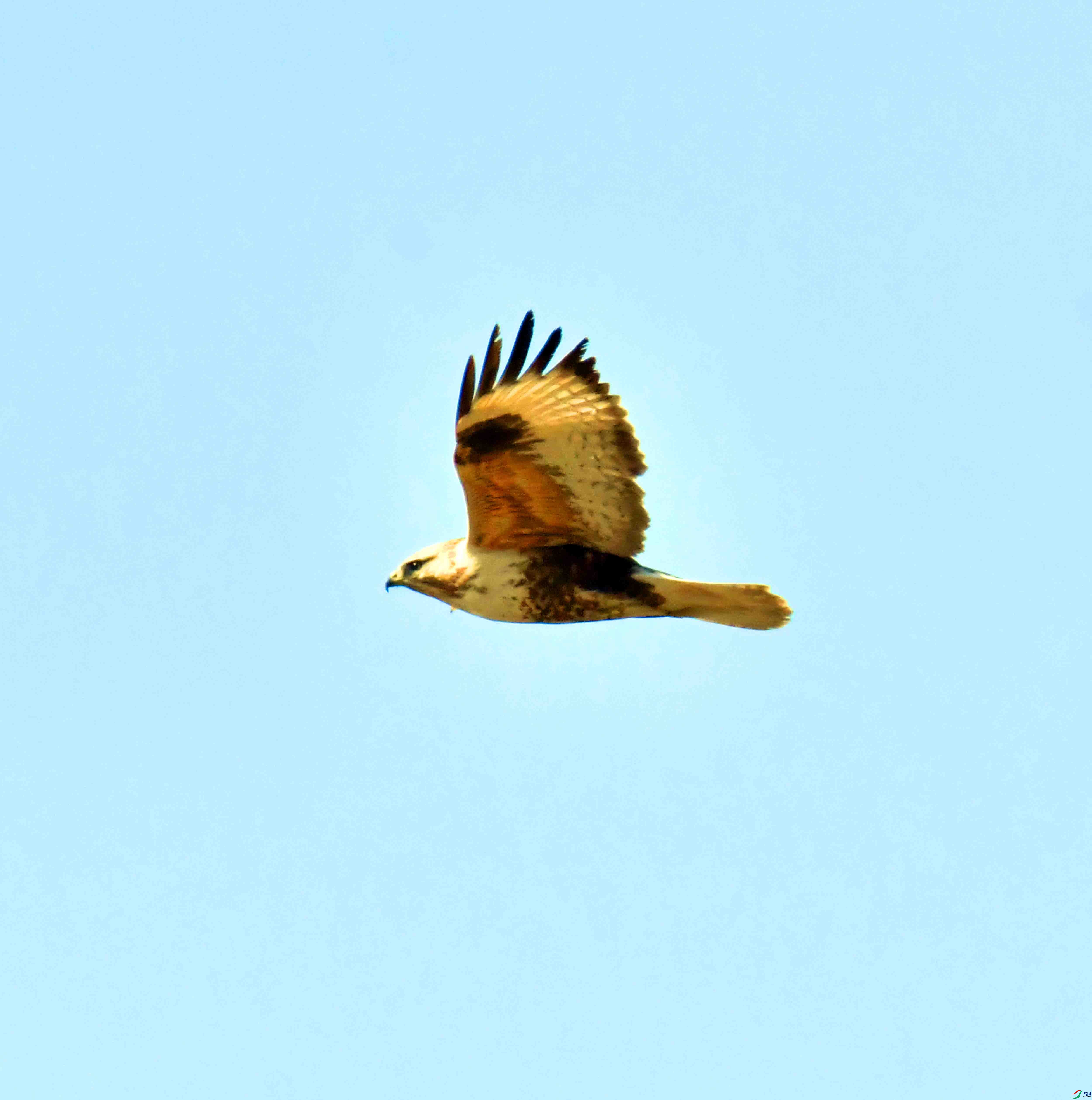 DSC_9583.JPG