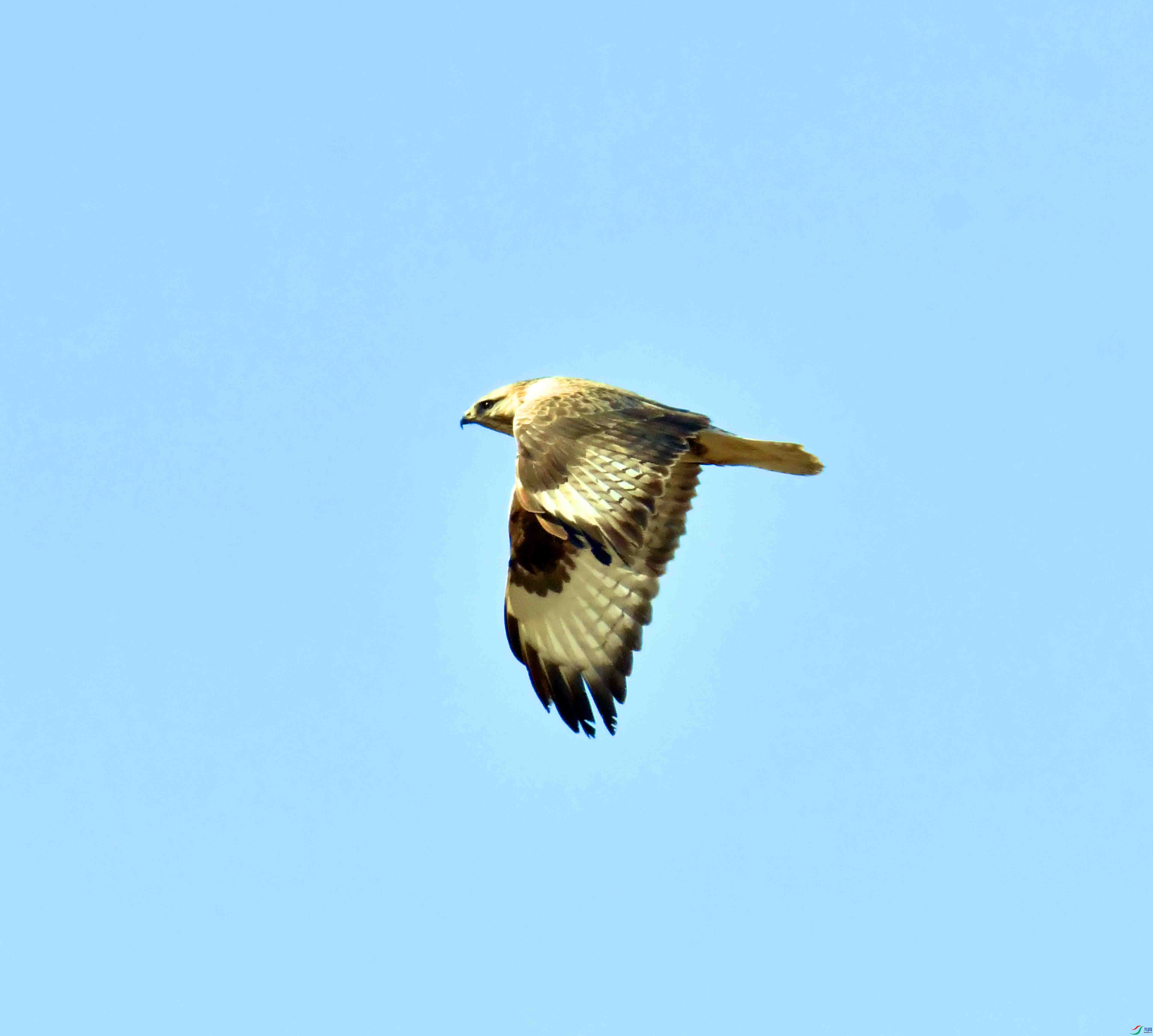 DSC_9584.JPG