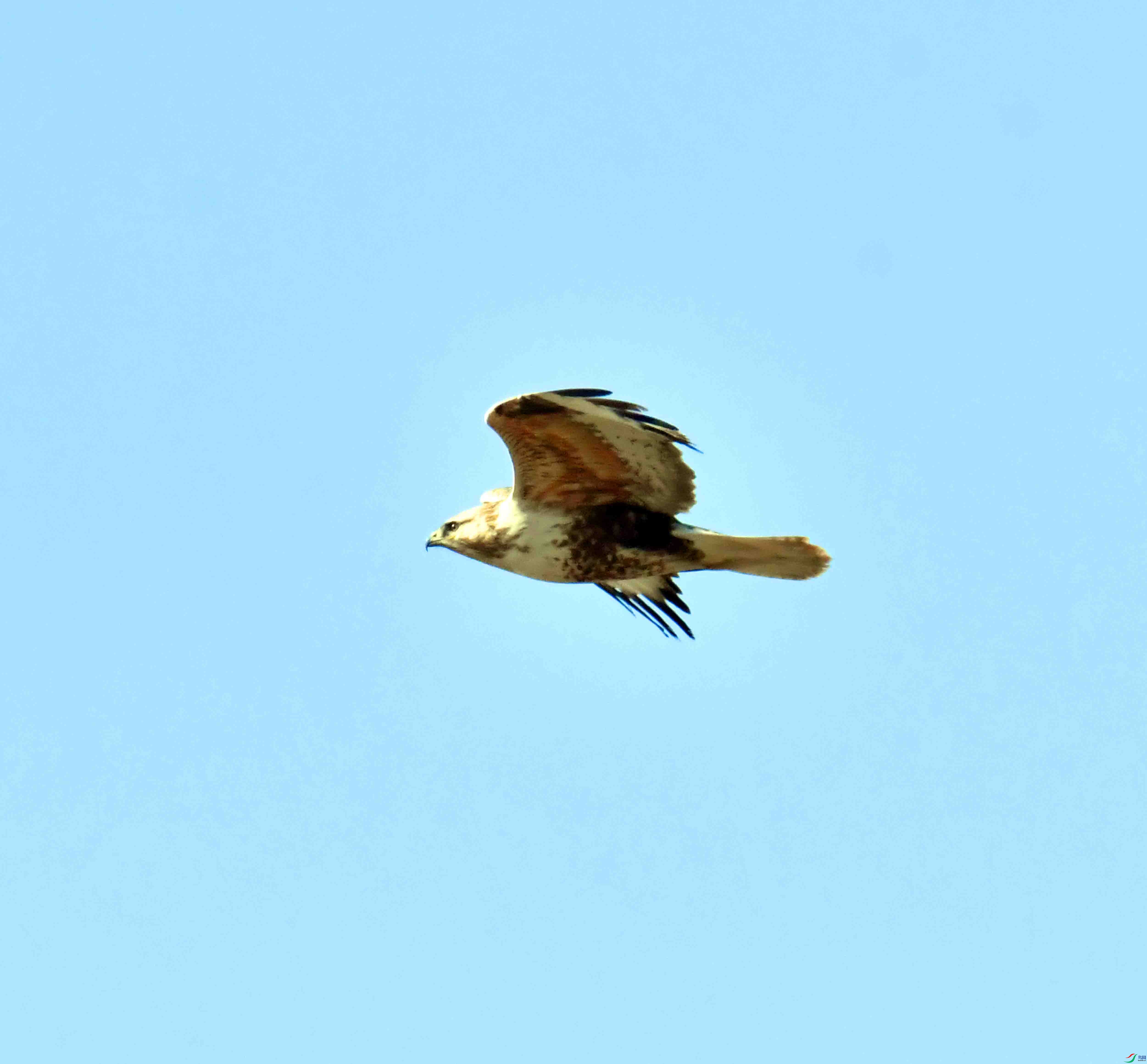 DSC_9582.JPG