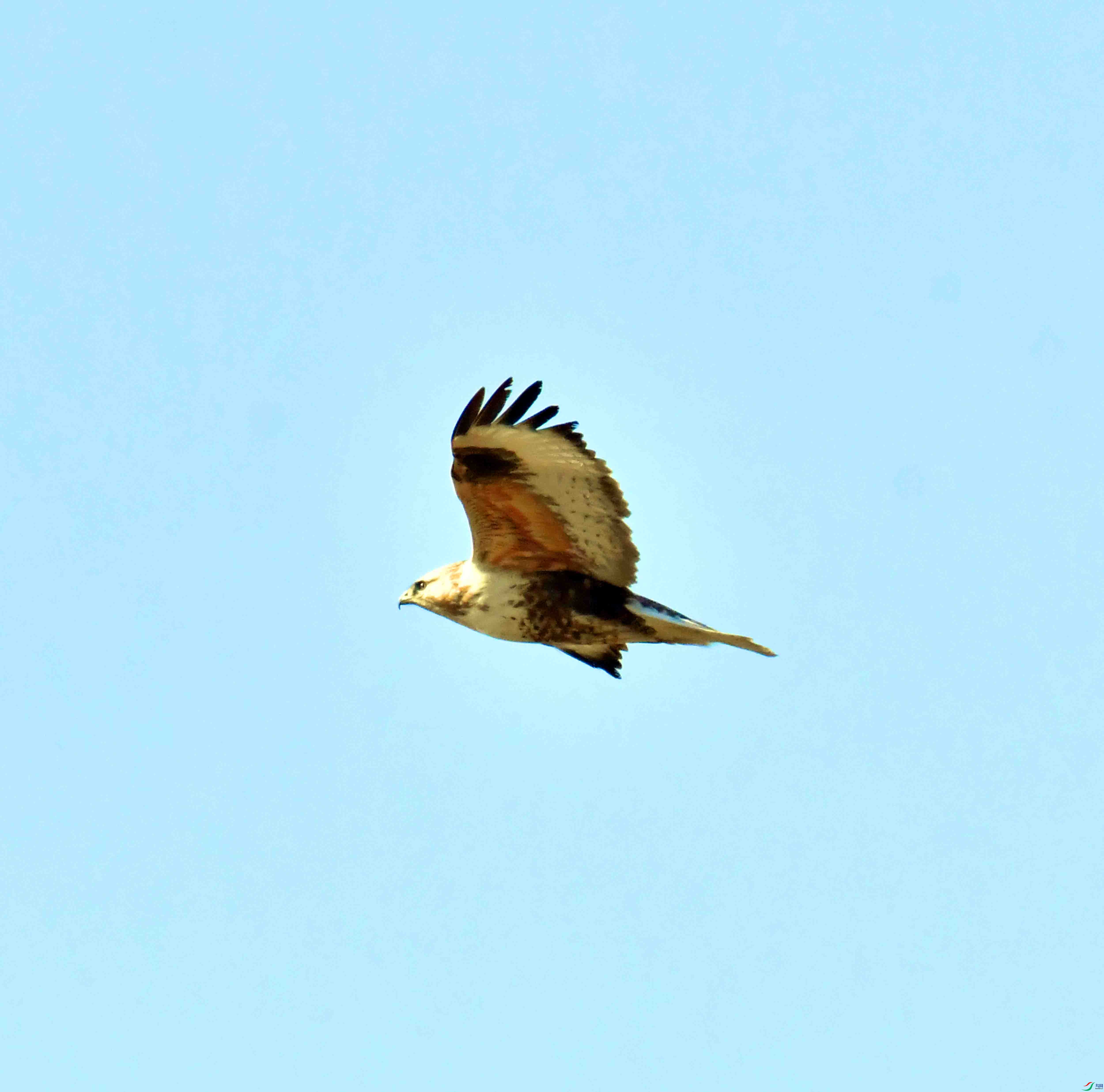 DSC_9587.JPG
