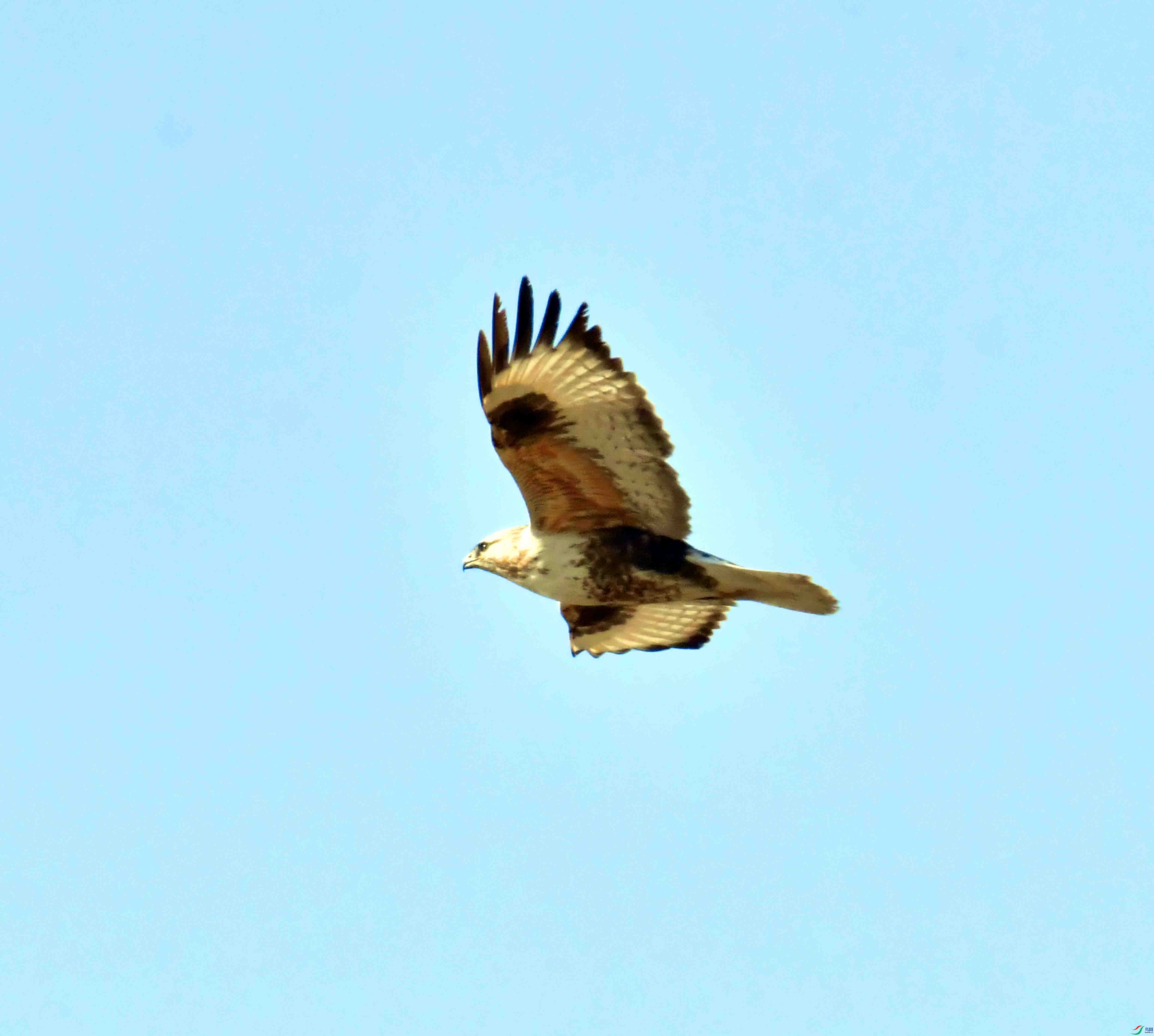 DSC_9589.JPG