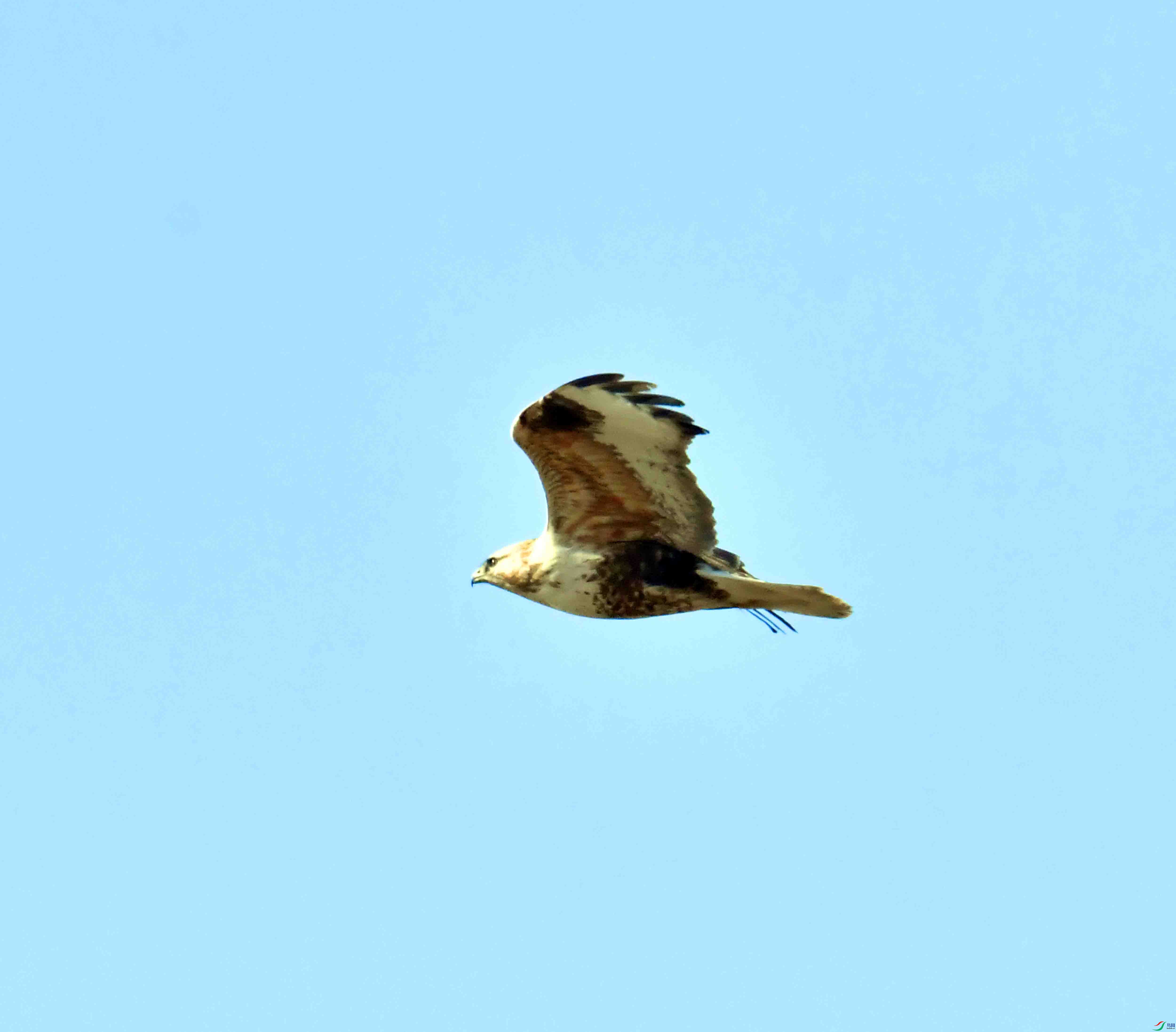 DSC_9588.JPG