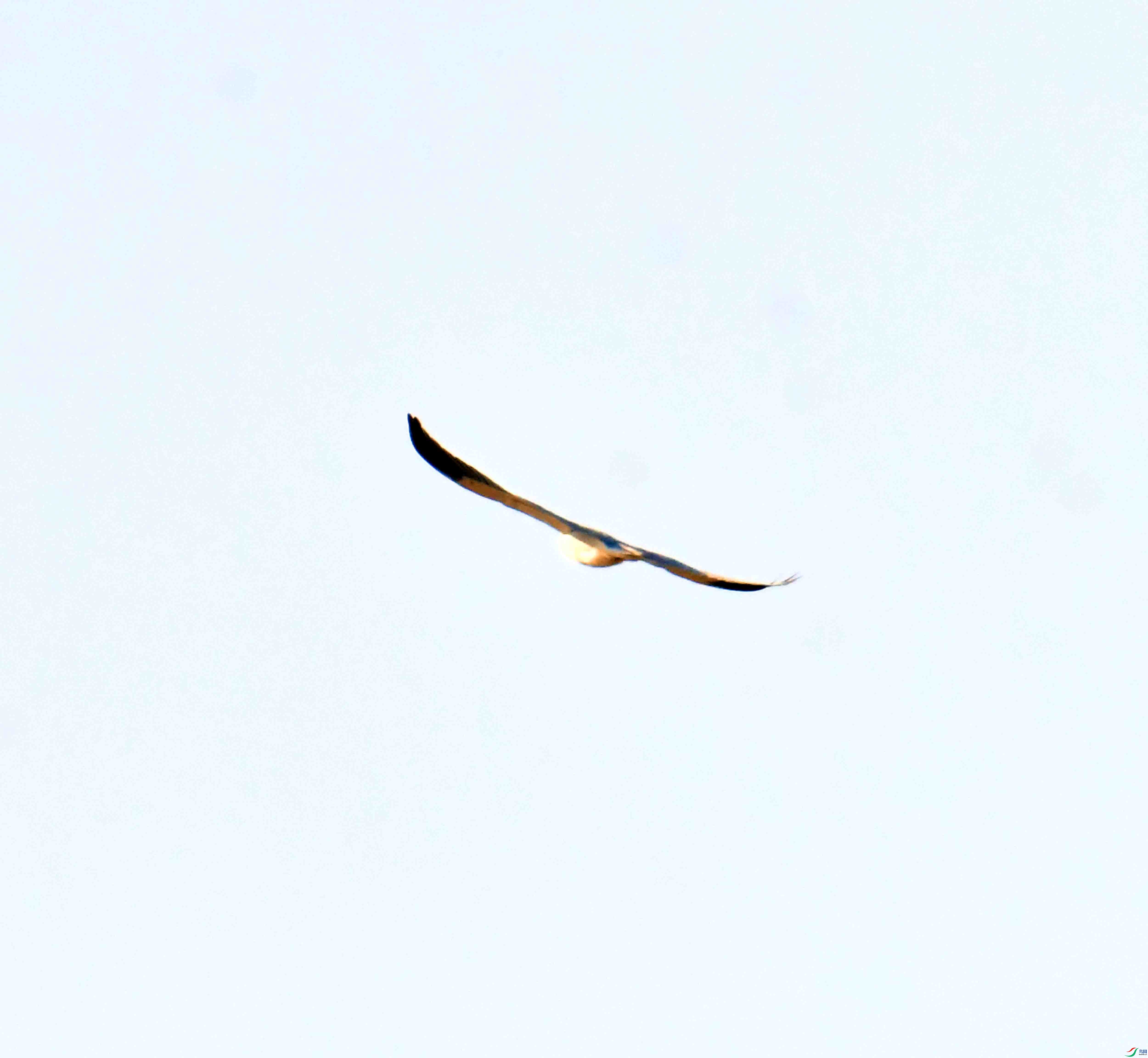DSC_9592.JPG