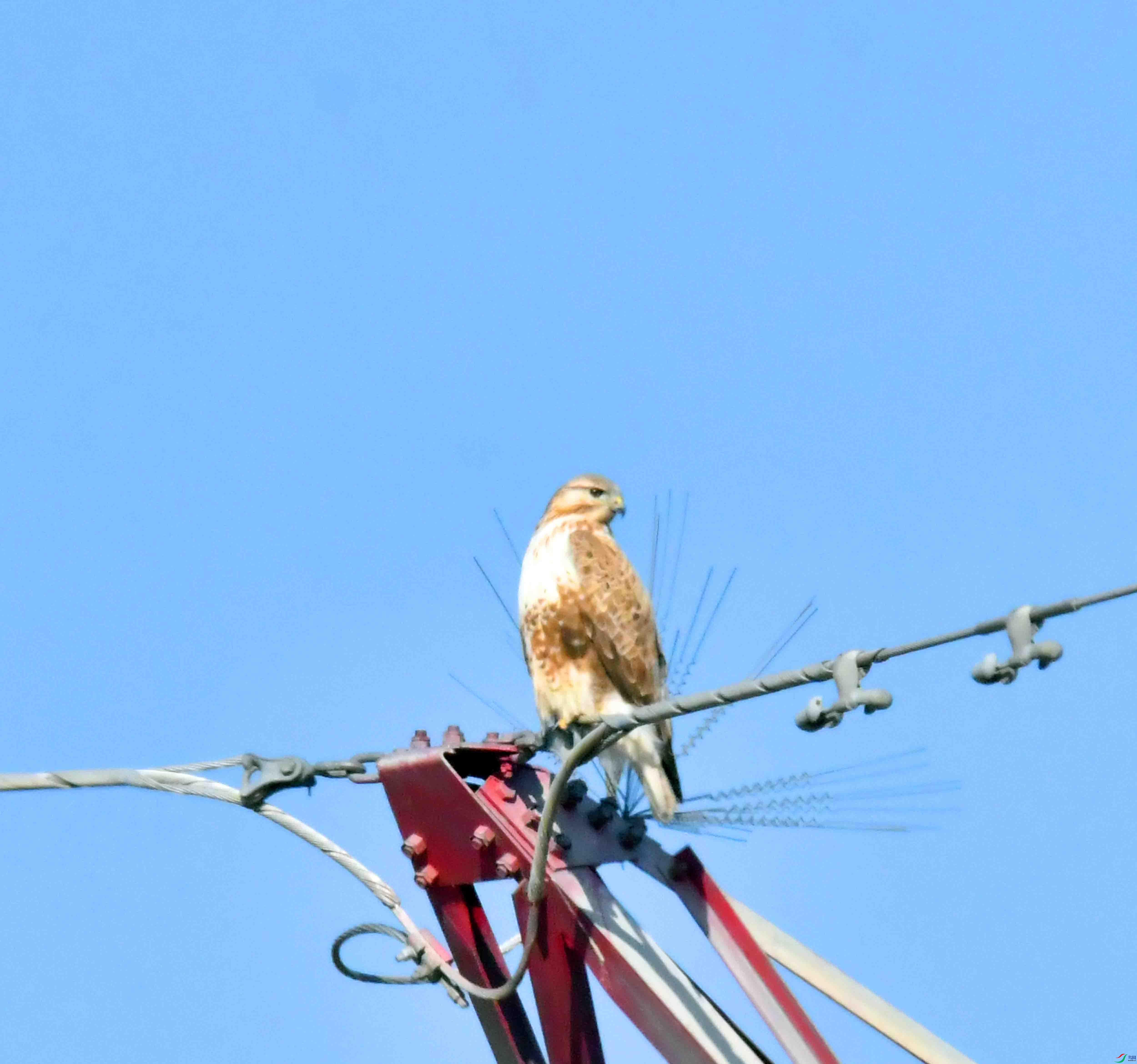 DSC_9626.JPG
